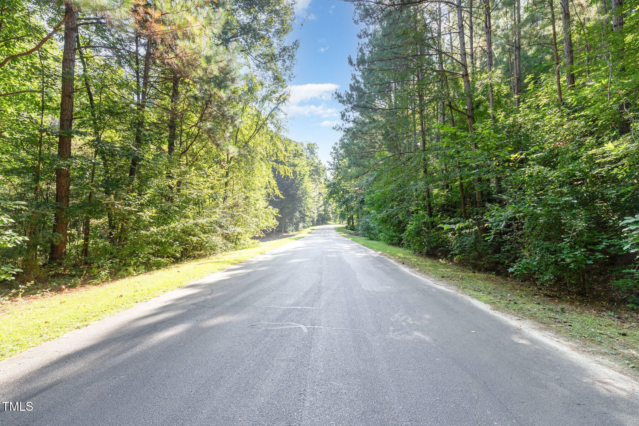 Pittsboro, North Carolina, 27312, United States, ,Land,For Sale,1939532