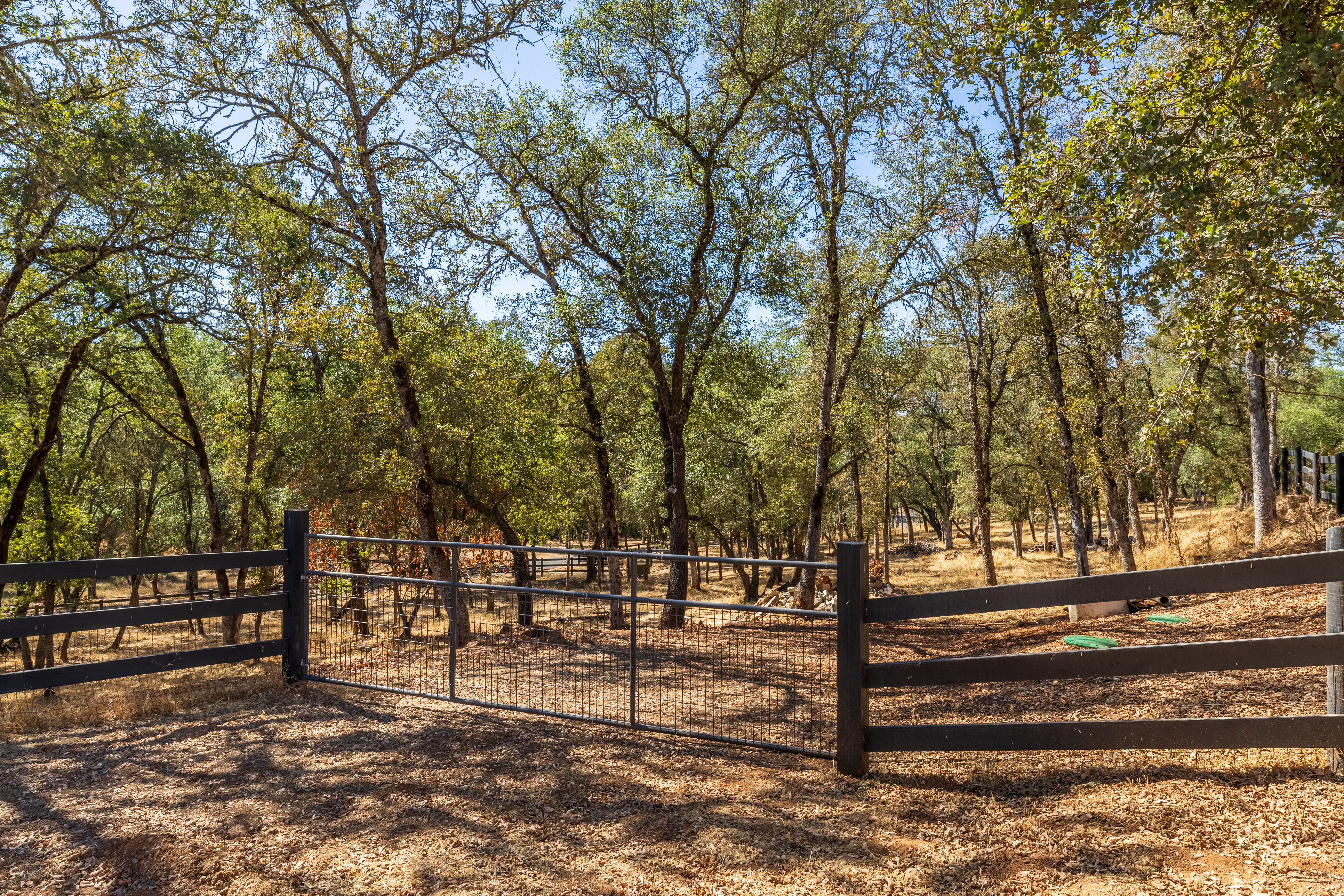  1400 Crooked Mile Court, Placerville, CA 95667 - 物件實景