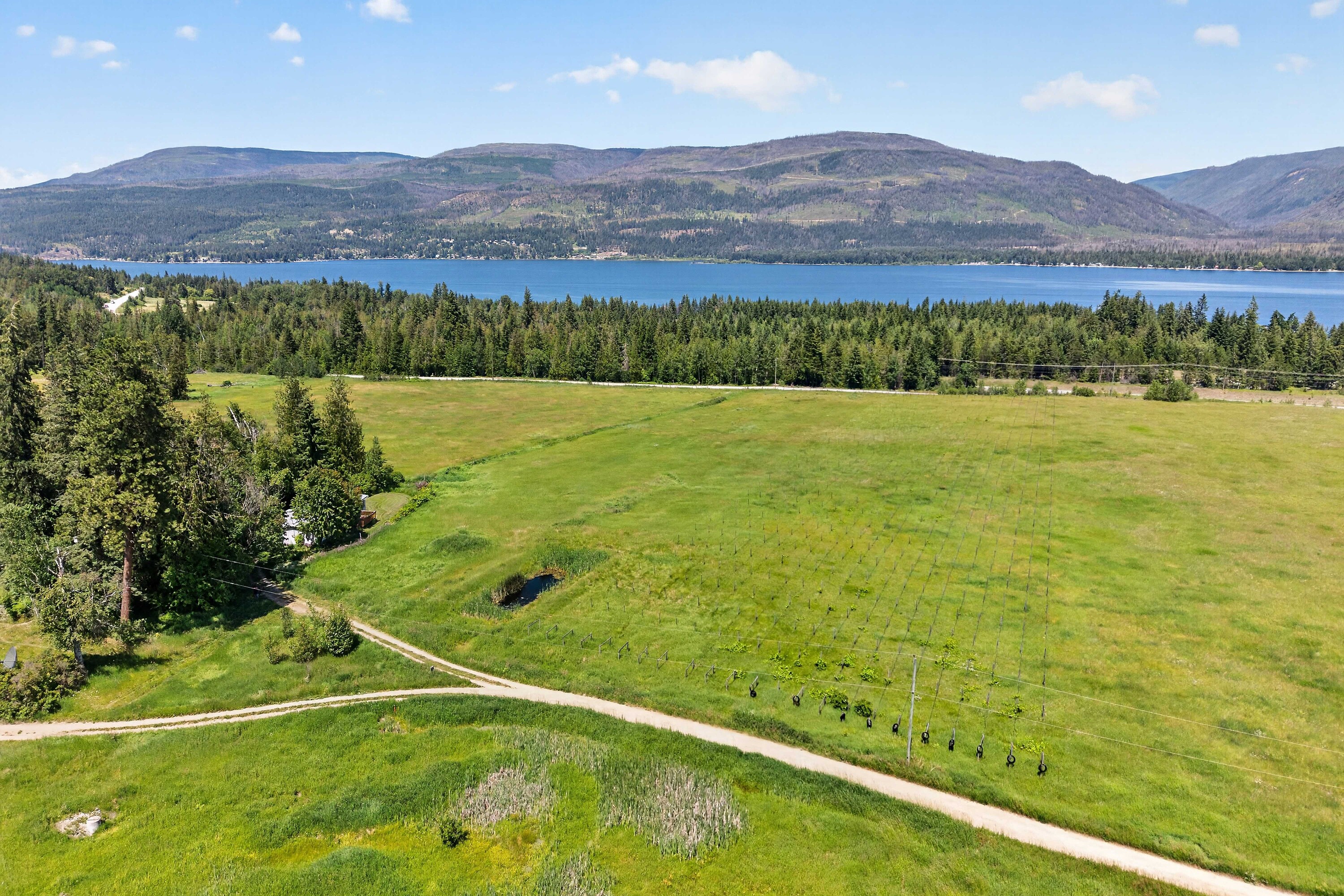  158 Acre Lakeview Homestead - 物件實景