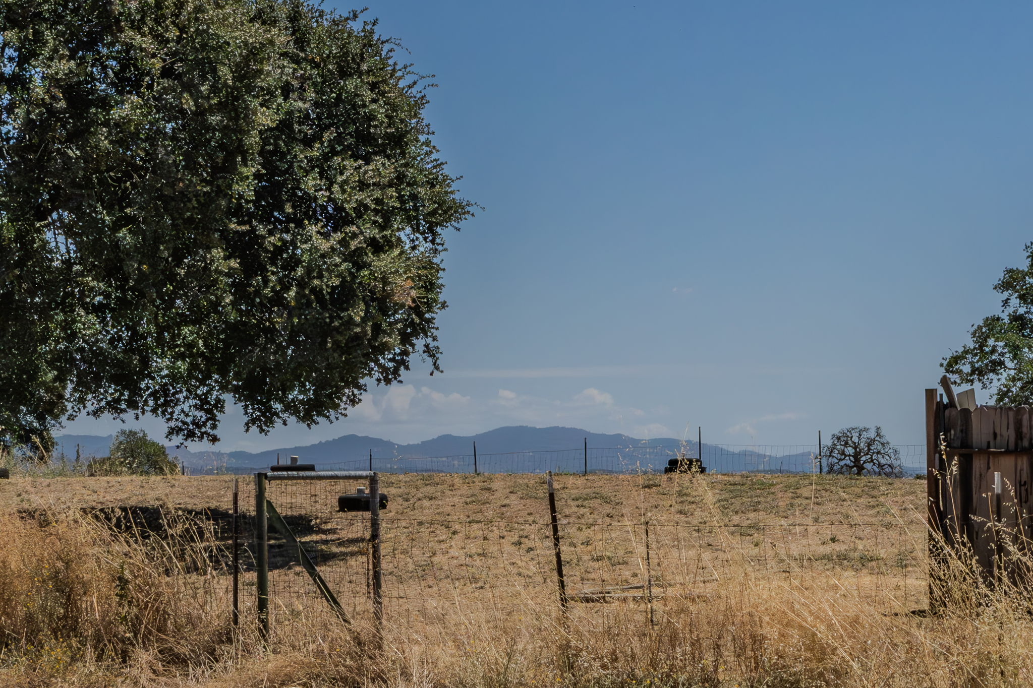  1916 Village Drive, Ione, CA 95640 - 物件實景