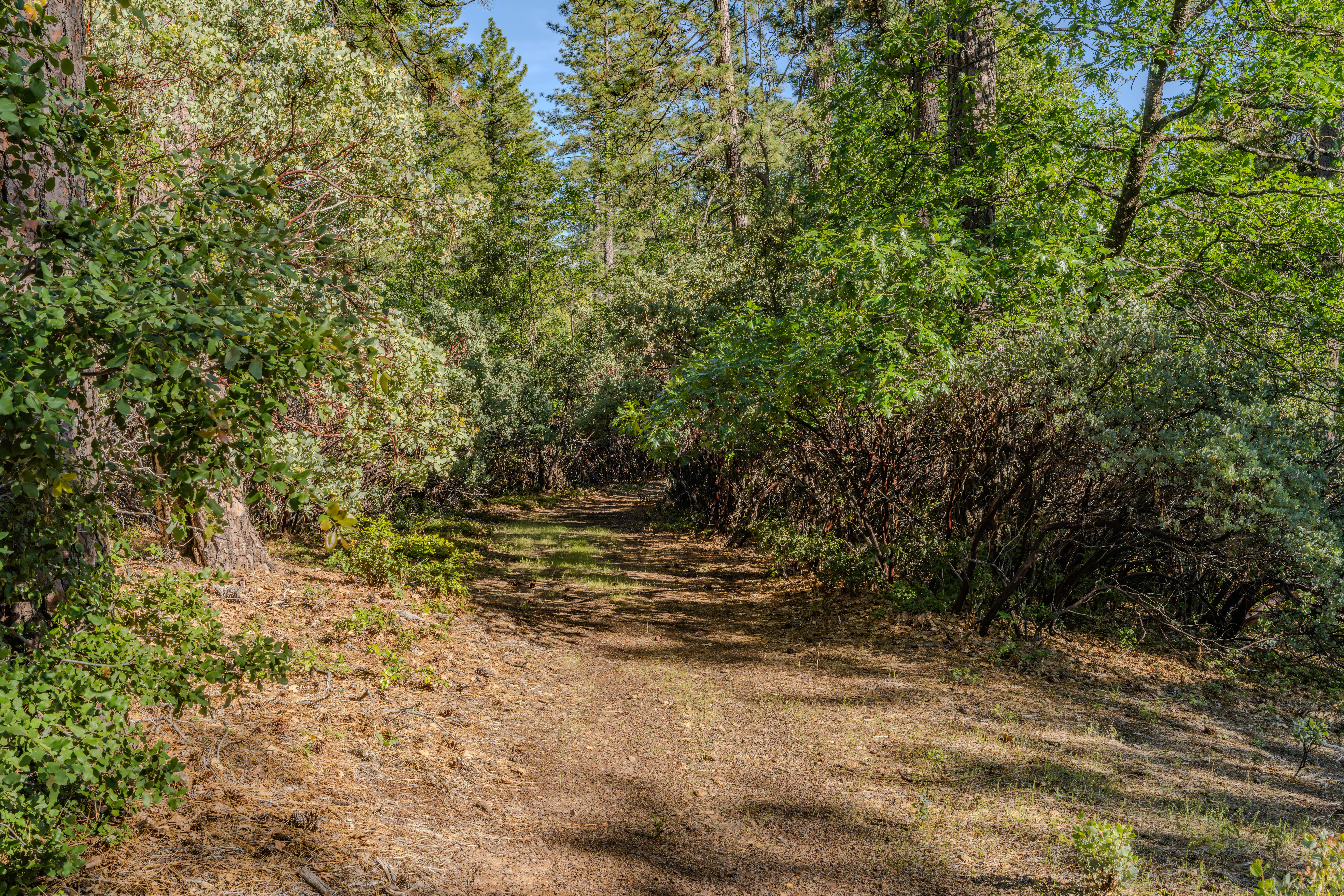  211 Fox Road, Glencoe, CA 95232 - 物件實景