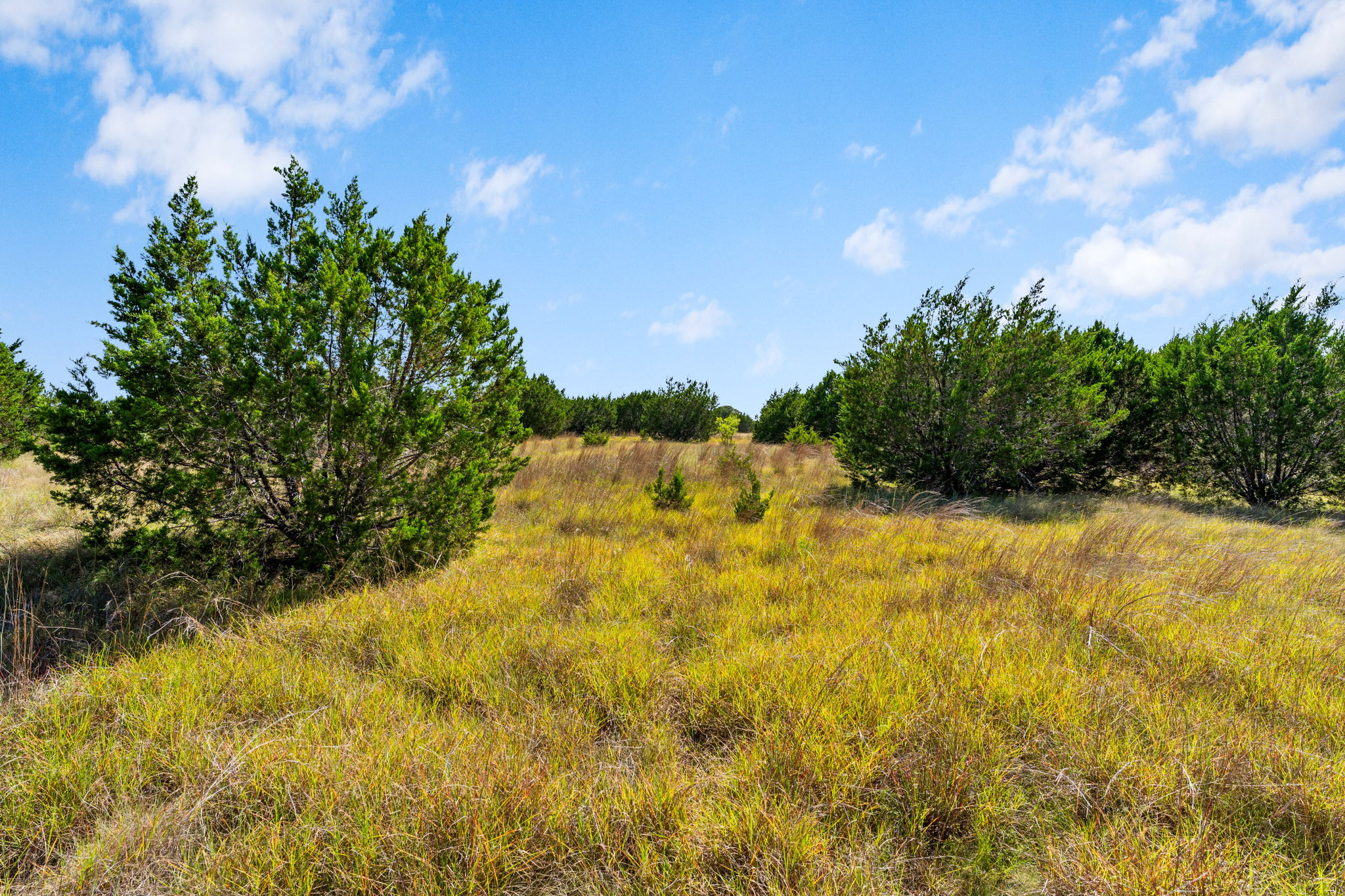  5 Acres  Gated Community & Scenic Views - 物件實景