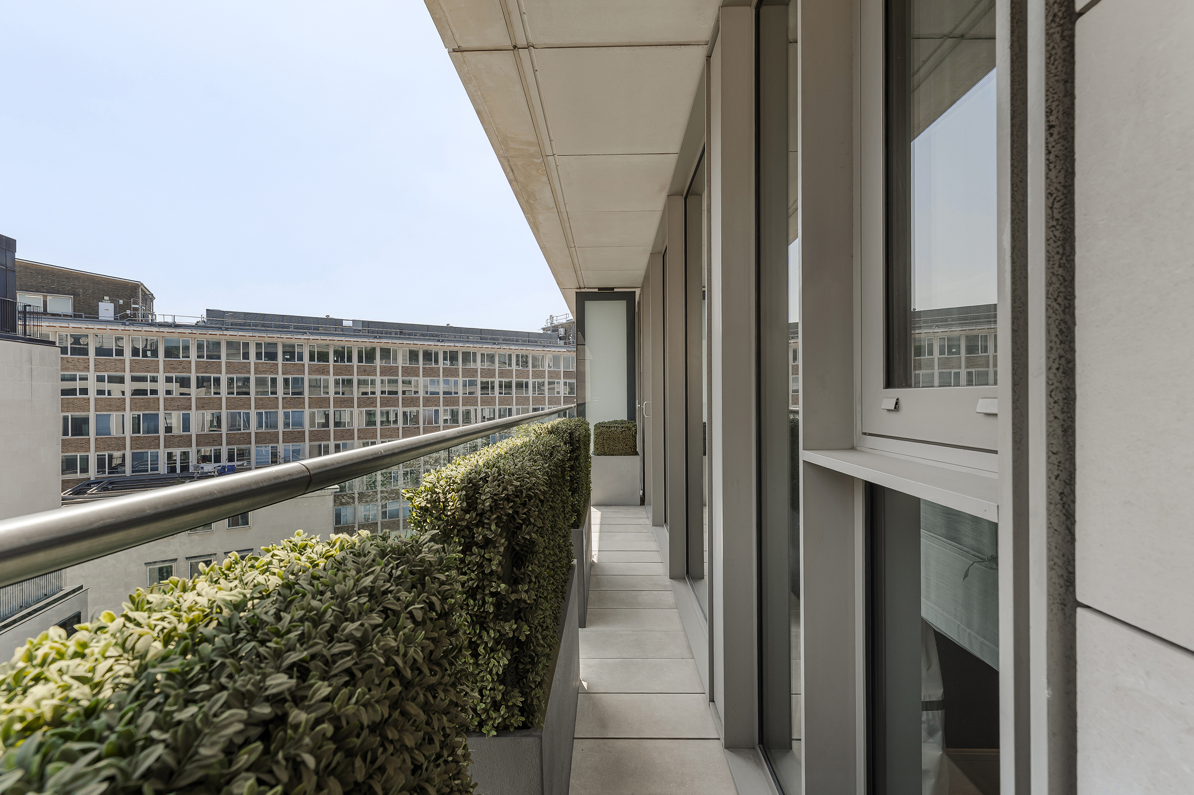  A Light-Filled Apartment with Exceptional Residents