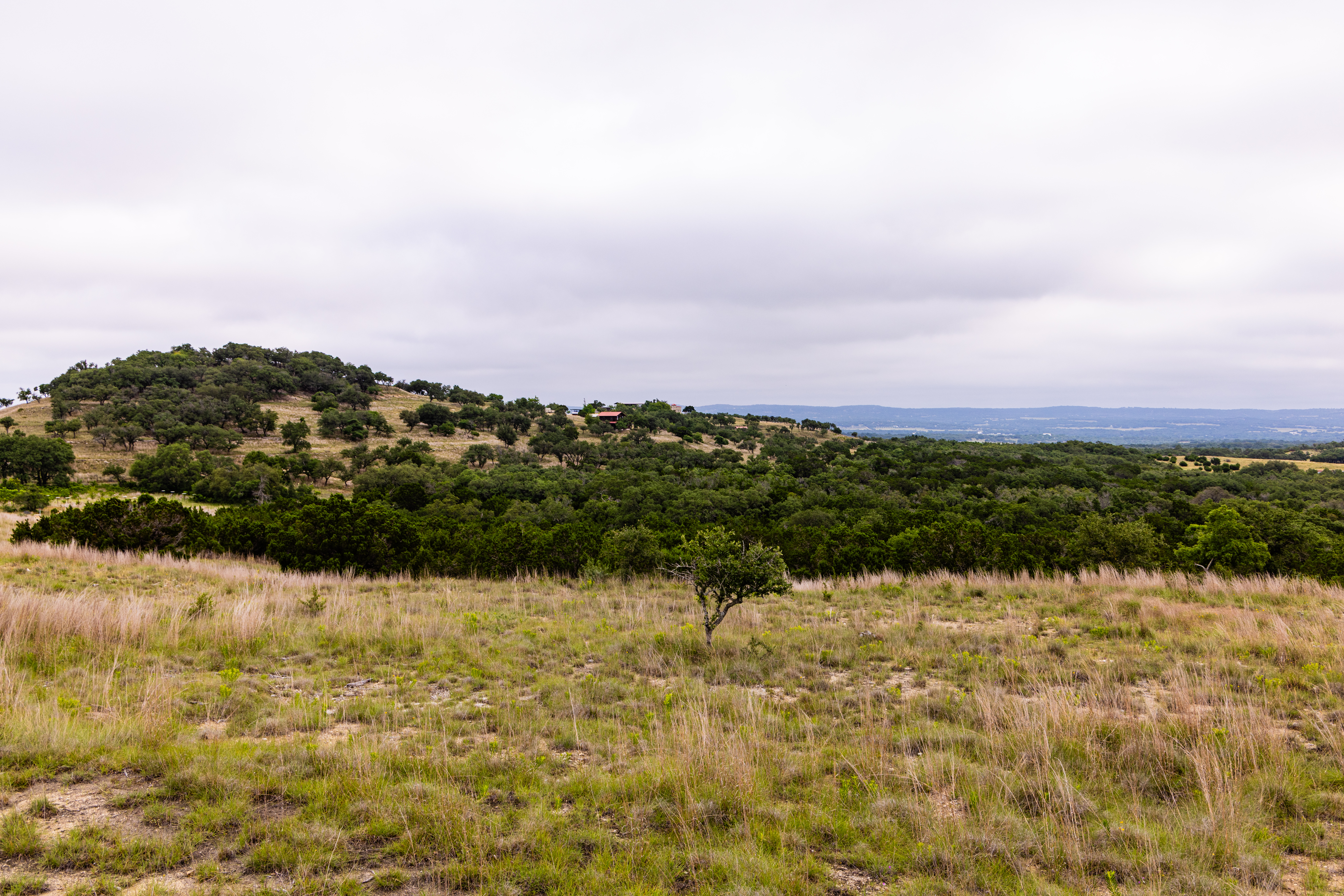  Expansive 10-Acre Lot - 物件實景