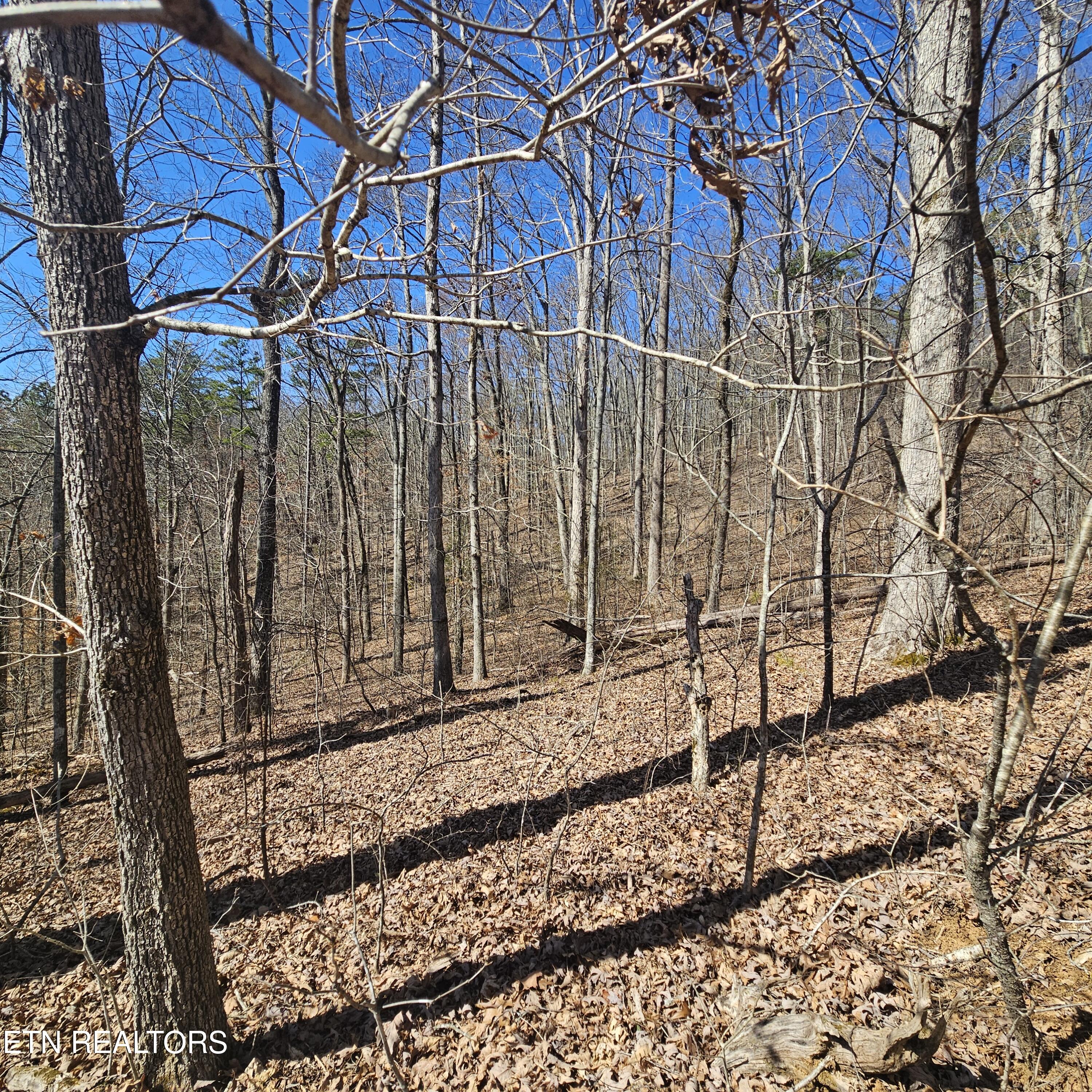 Tellico Plains, Tennessee, 37385, United States, ,Residential,For Sale,1922105