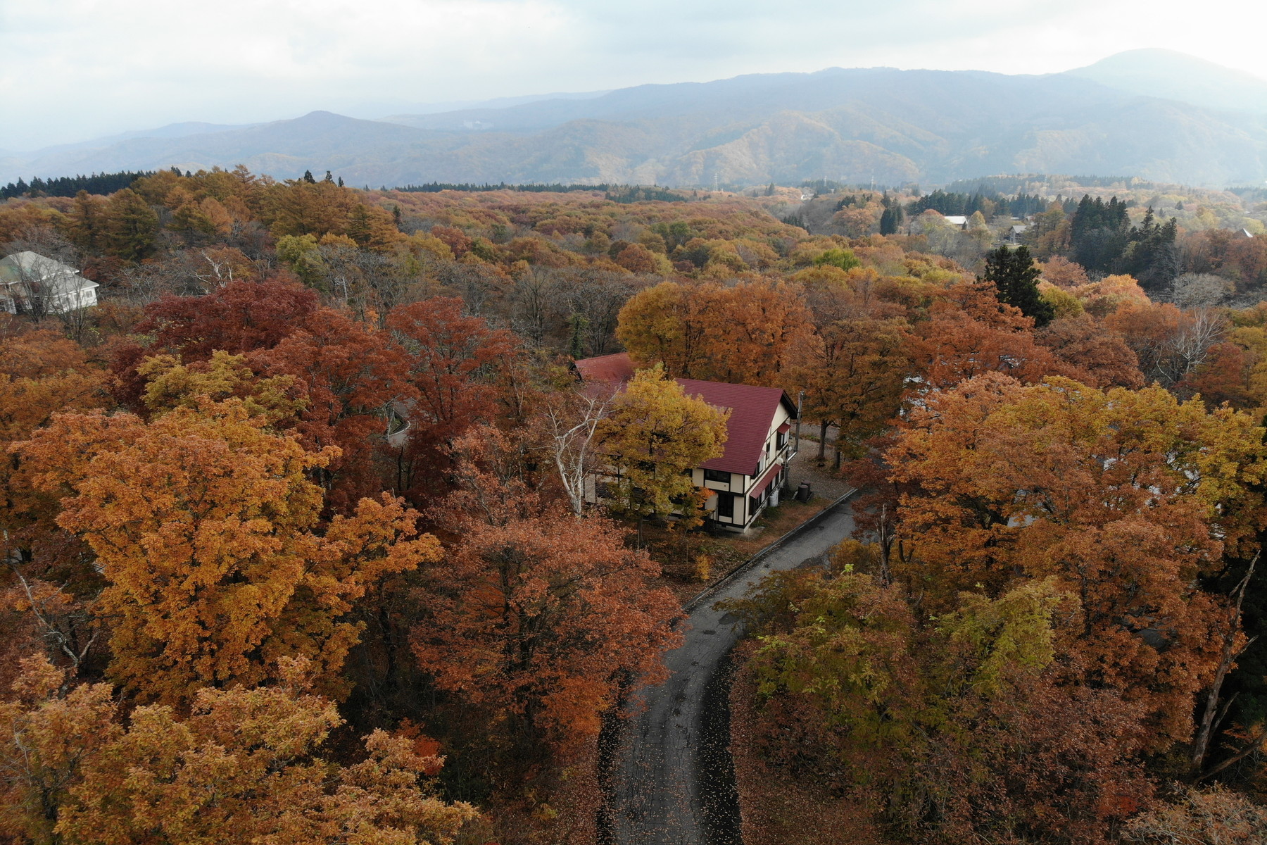  Funky Monkey Lodge, Myoko - 物件實景