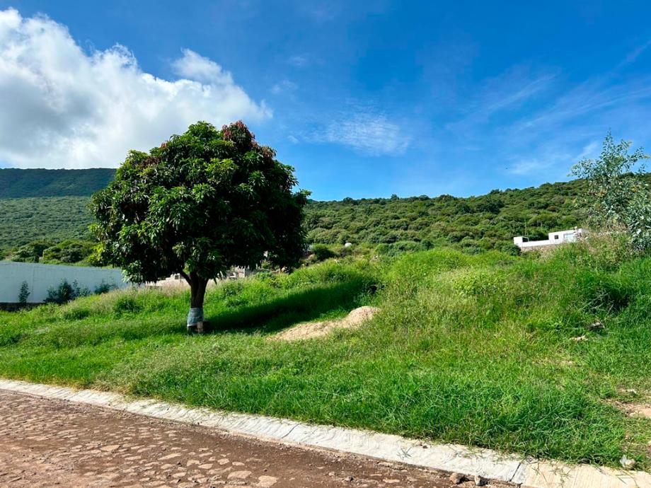 Camino San Martin, Jocotepec, Jalisco, 45800, Mexico, 1 Bedroom Bedrooms, ,Residential,For Sale,Camino San Martin,1671785