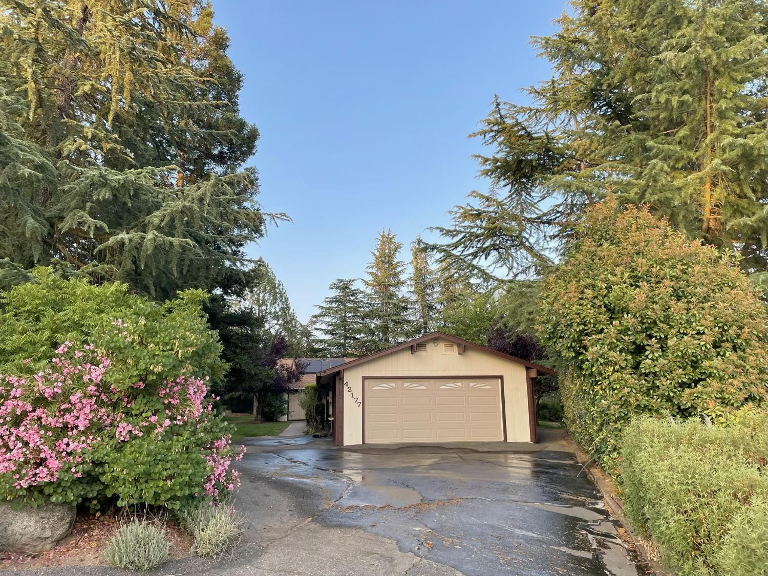 Ahwahnee, California, 93601, United States, 3 Bedrooms Bedrooms, ,2 BathroomsBathrooms,Residential,For Sale,1915922