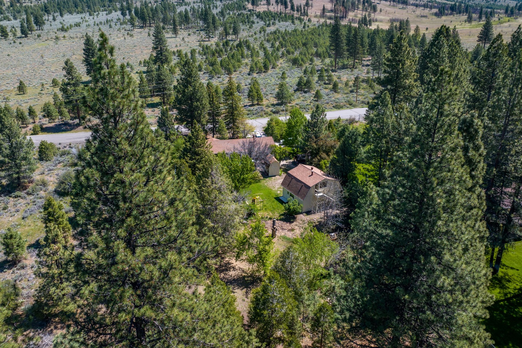  Sweet home on 1.24 acres in Sierra Brooks - 物件實景