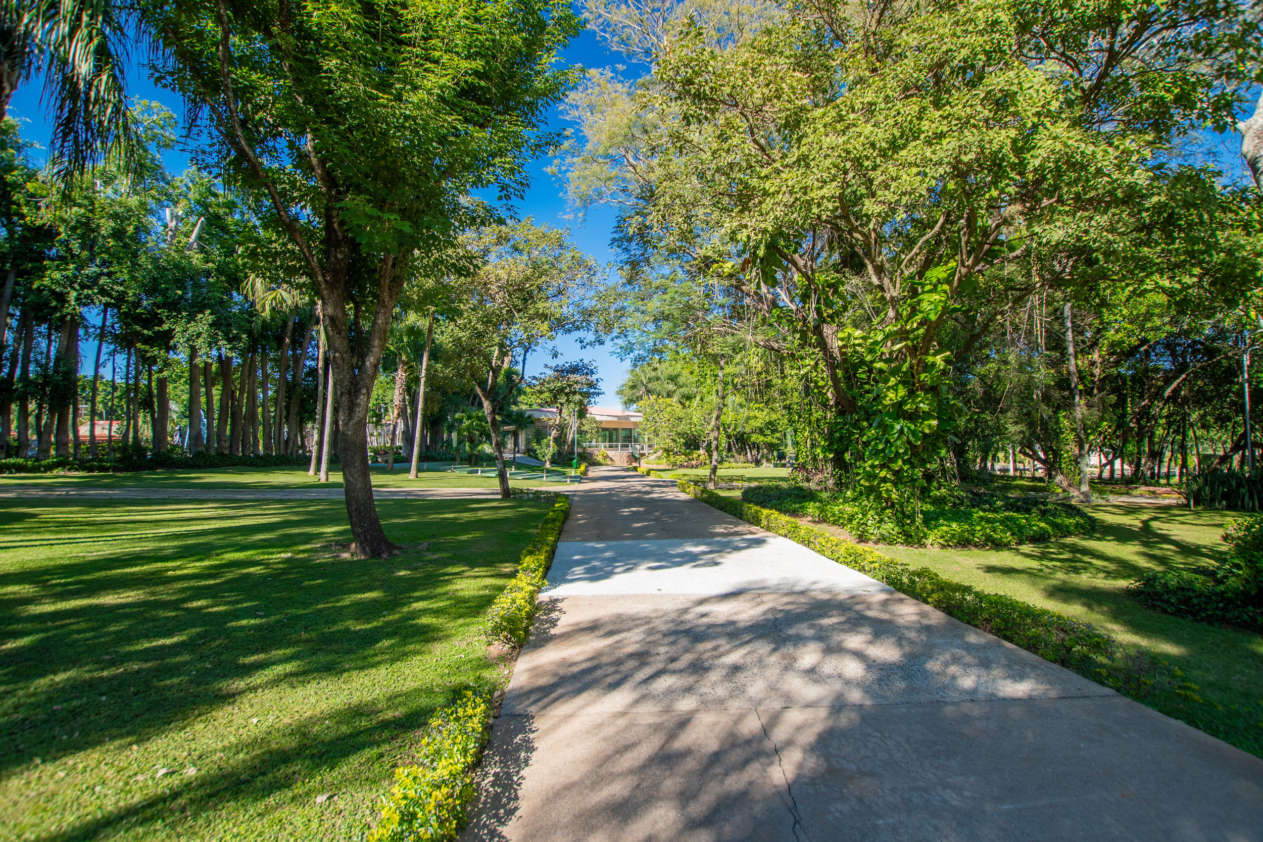  Exclusive Lot in the Gated Community of Rakiura Country - 物件實景