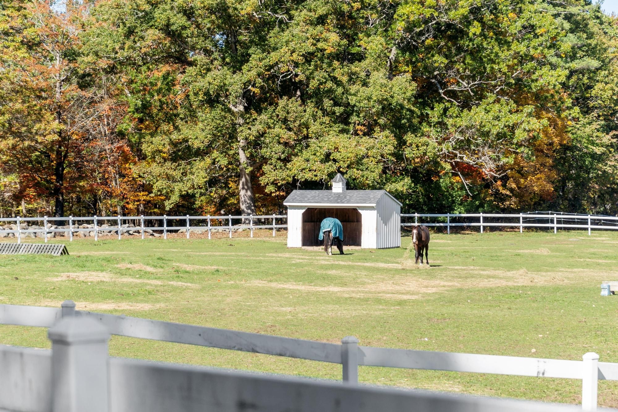  14 Stonegate Lane, Bedford, MA 01730 - 物件實景