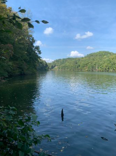 London, Kentucky, 40741, United States, ,Land,For Sale,1982608