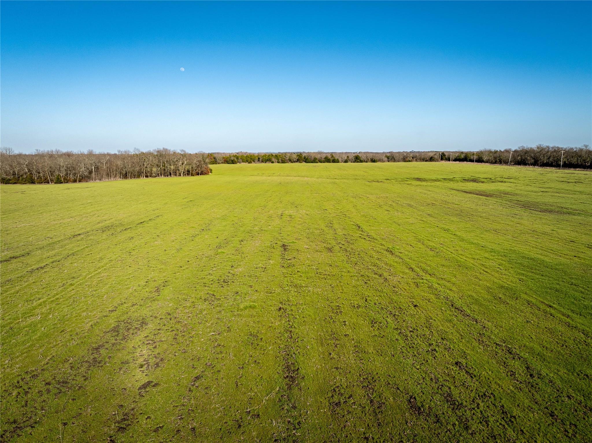 Roxton, Texas, 75477, United States, ,Residential,For Sale,1872354