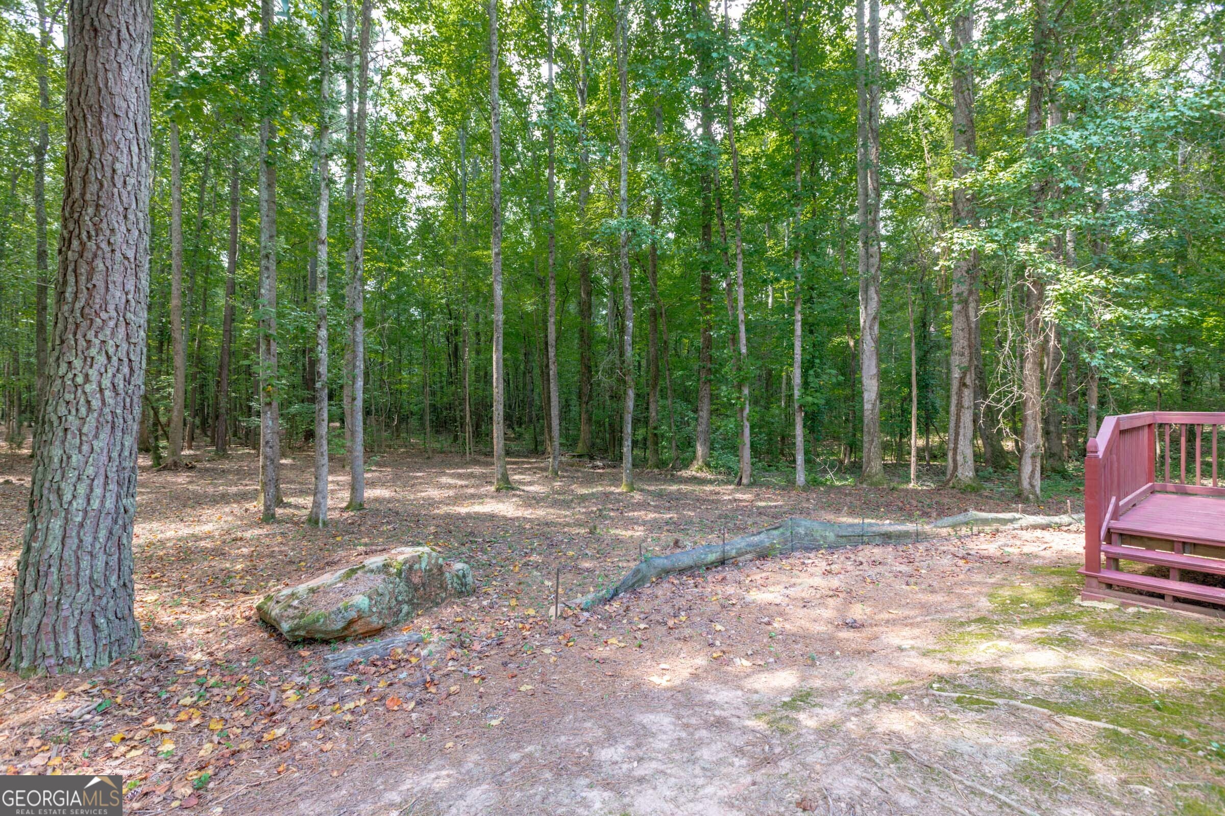 Senoia, Georgia, 30276, United States, 4 Bedrooms Bedrooms, ,3 BathroomsBathrooms,Residential,For Sale,1970203