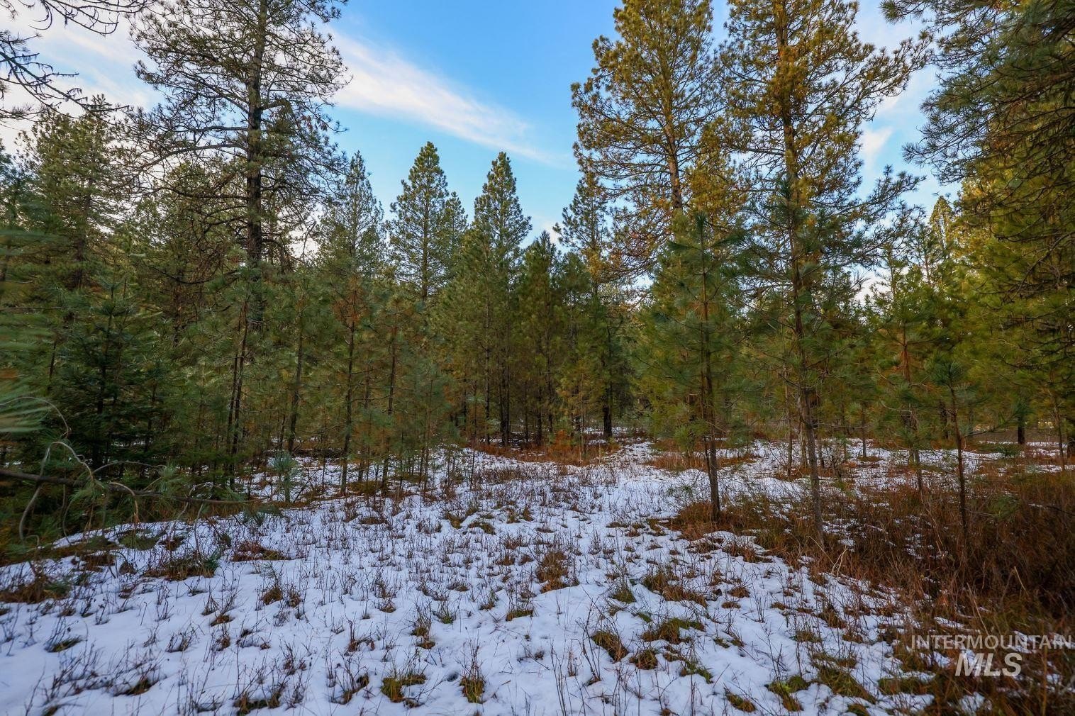 New Meadows, Idaho, 83654, United States, ,Land,For Sale,2006216