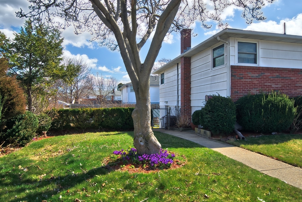 Revere, Massachusetts, 02151, United States, 4 Bedrooms Bedrooms, ,4 BathroomsBathrooms,Residential,For Sale,1935883