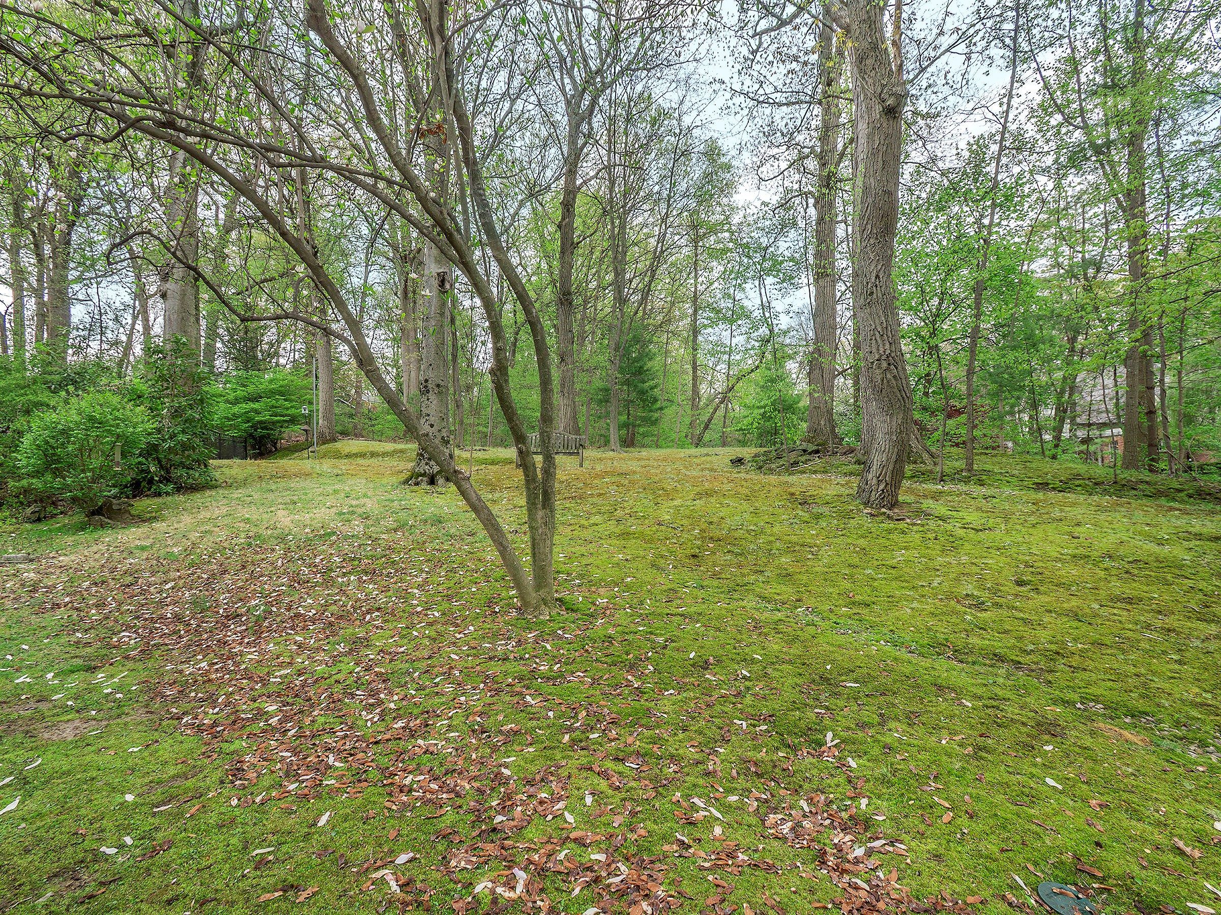  7 Southeast Road, Sands Point, NY, 11050 - 物件實景