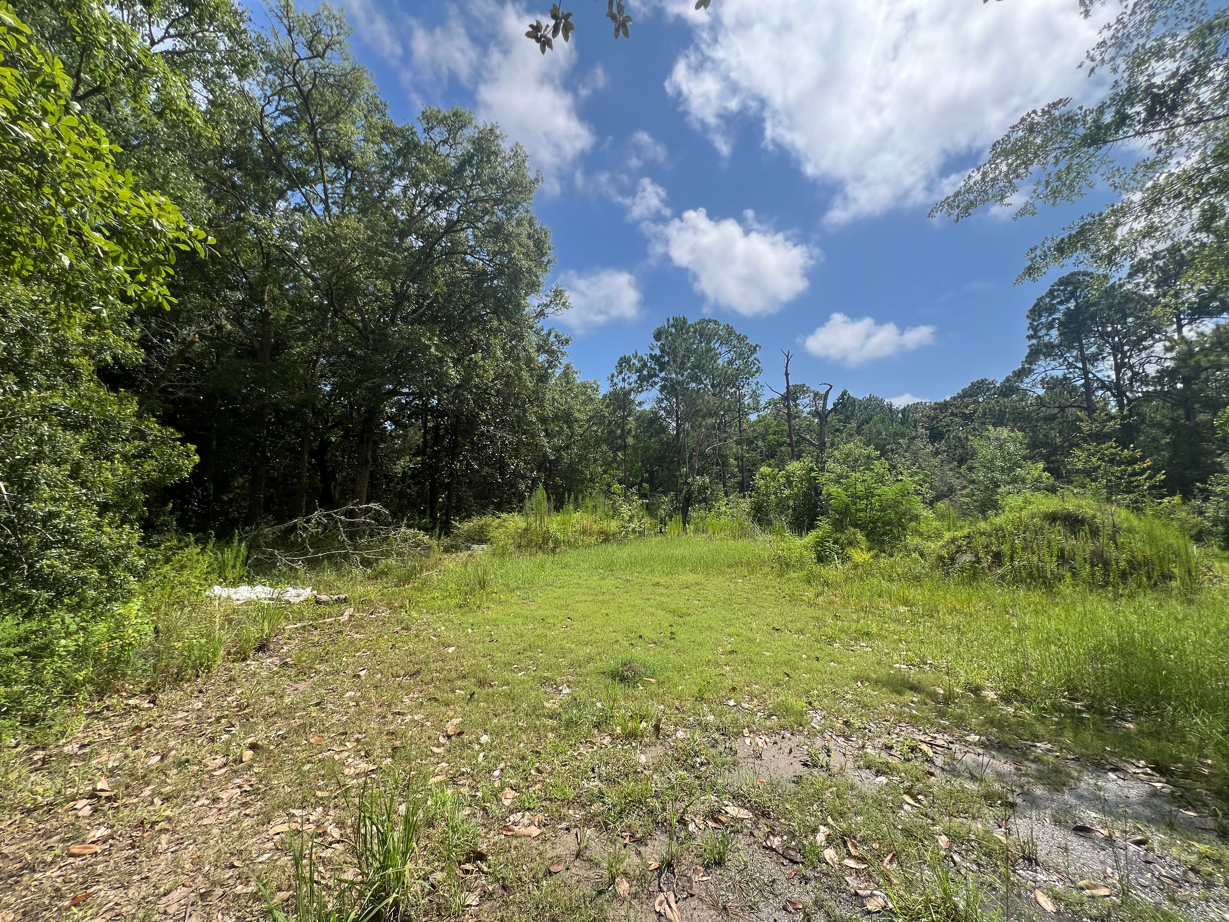  Expansive Waterfront Homesite with Direct Bay Access - 物件實景