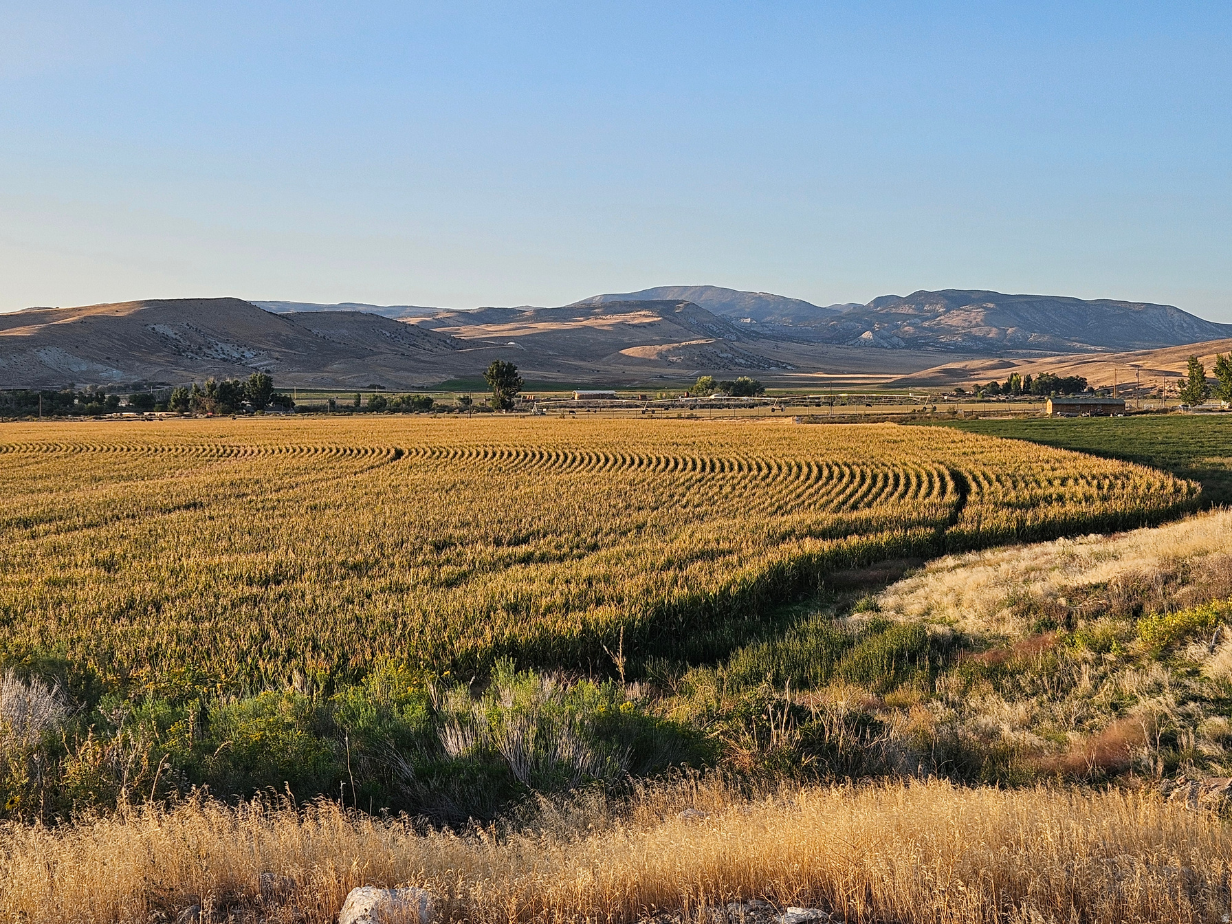Gunnison, Utah, 84634, United States, 5 Bedrooms Bedrooms, ,4 BathroomsBathrooms,Residential,For Sale,1988288
