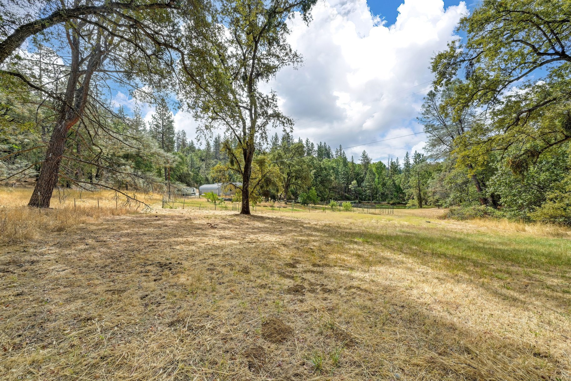  Spacious Grass Valley Country Property, 5 acres, shop and pond - 物件實景