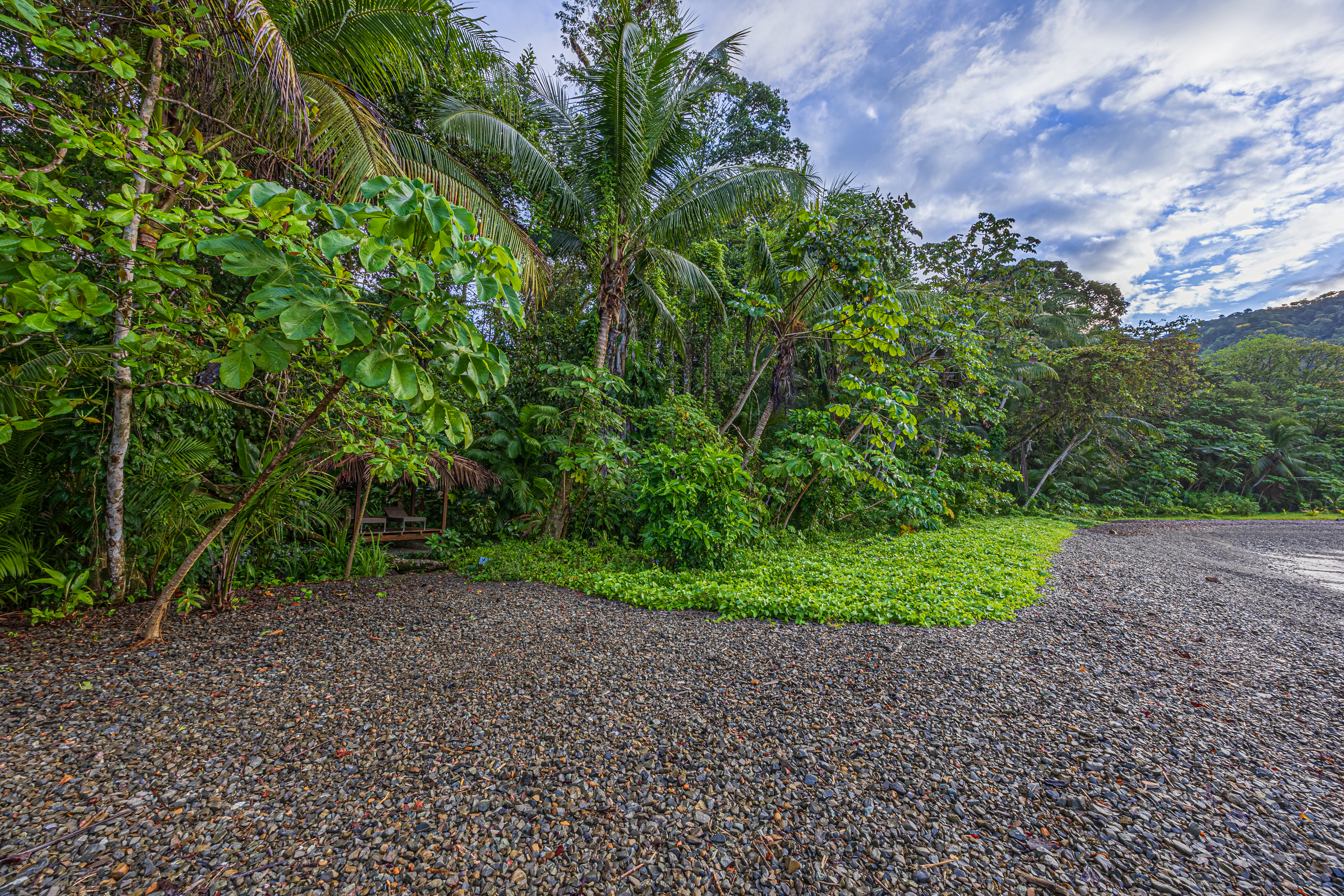 Golfito, Puntarenas, CR, 15 Bedrooms Bedrooms, ,13 BathroomsBathrooms,Residential,For Sale,1903279