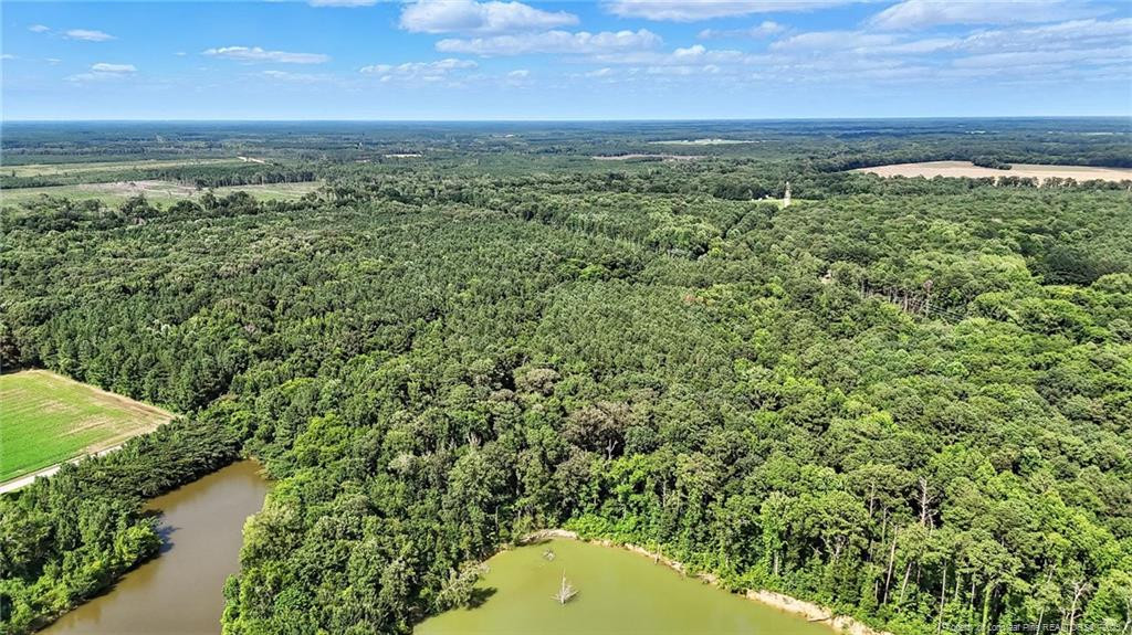 Wade, North Carolina, 28395, United States, ,Land,For Sale,1891652