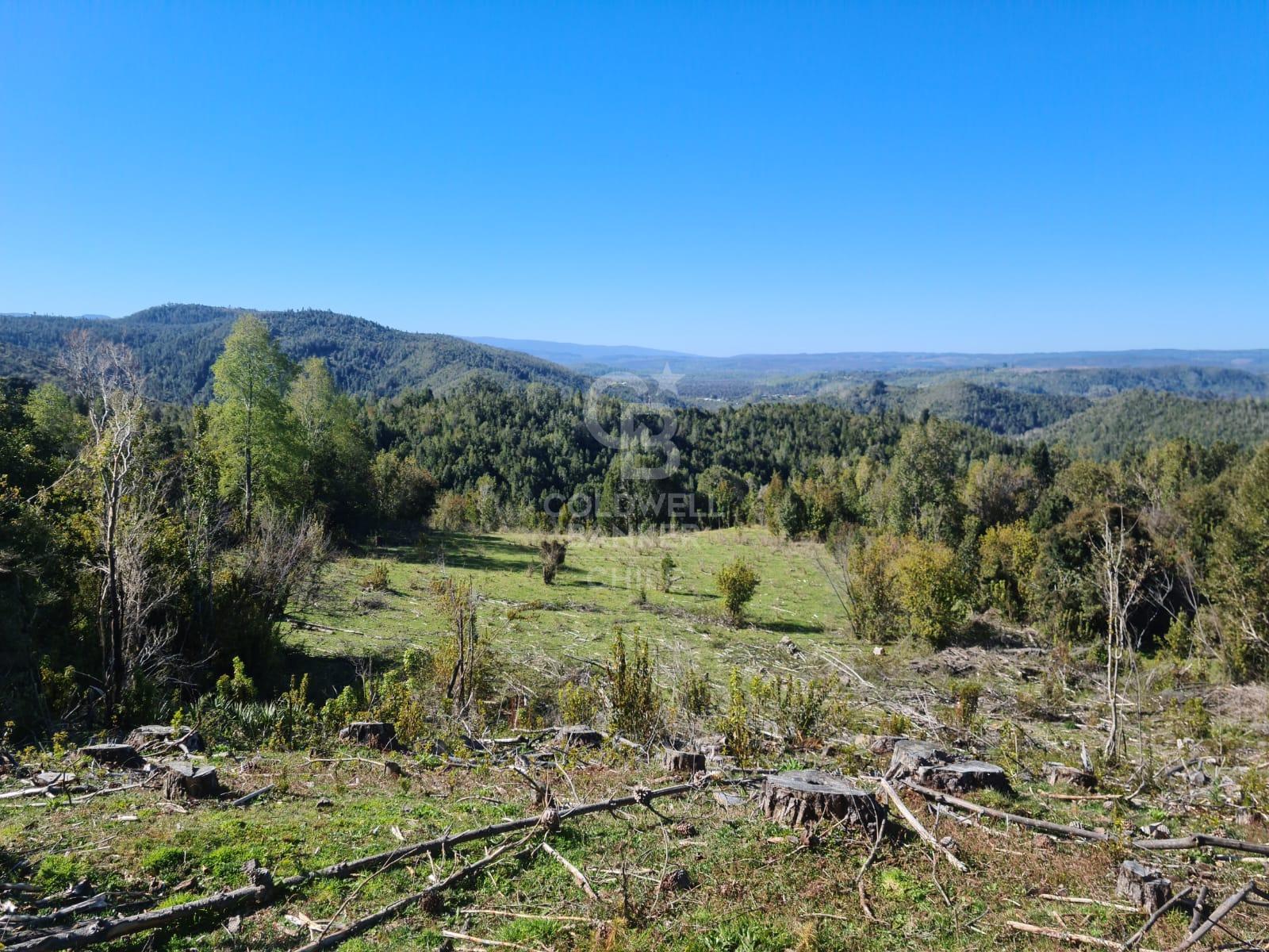 Fresia, Chile, ,Residential,For Sale,1913252