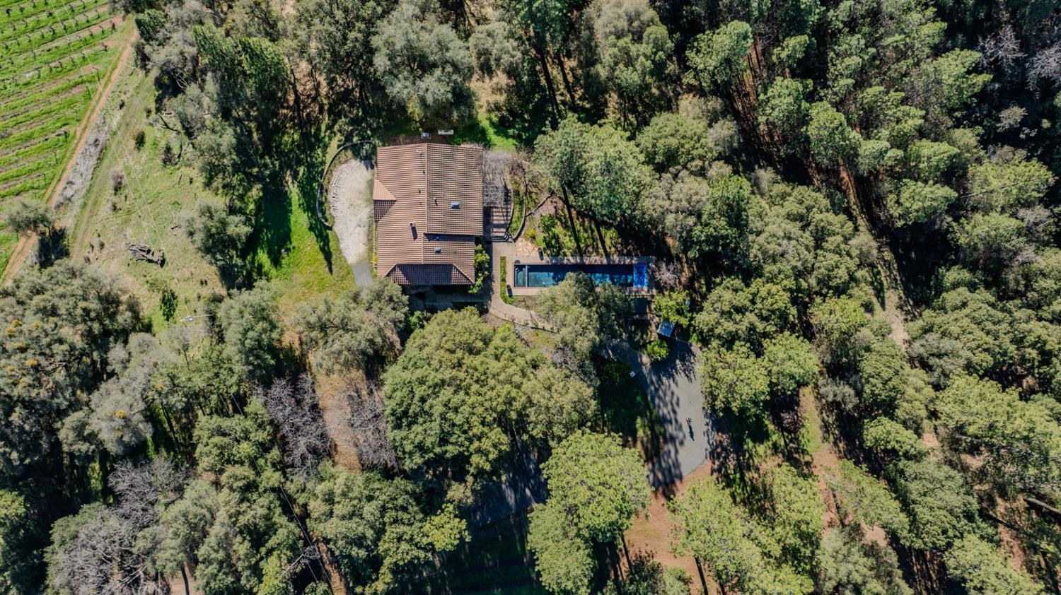 Plymouth, California, 95669, United States, 3 Bedrooms Bedrooms, ,3 BathroomsBathrooms,Residential,For Sale,1979143