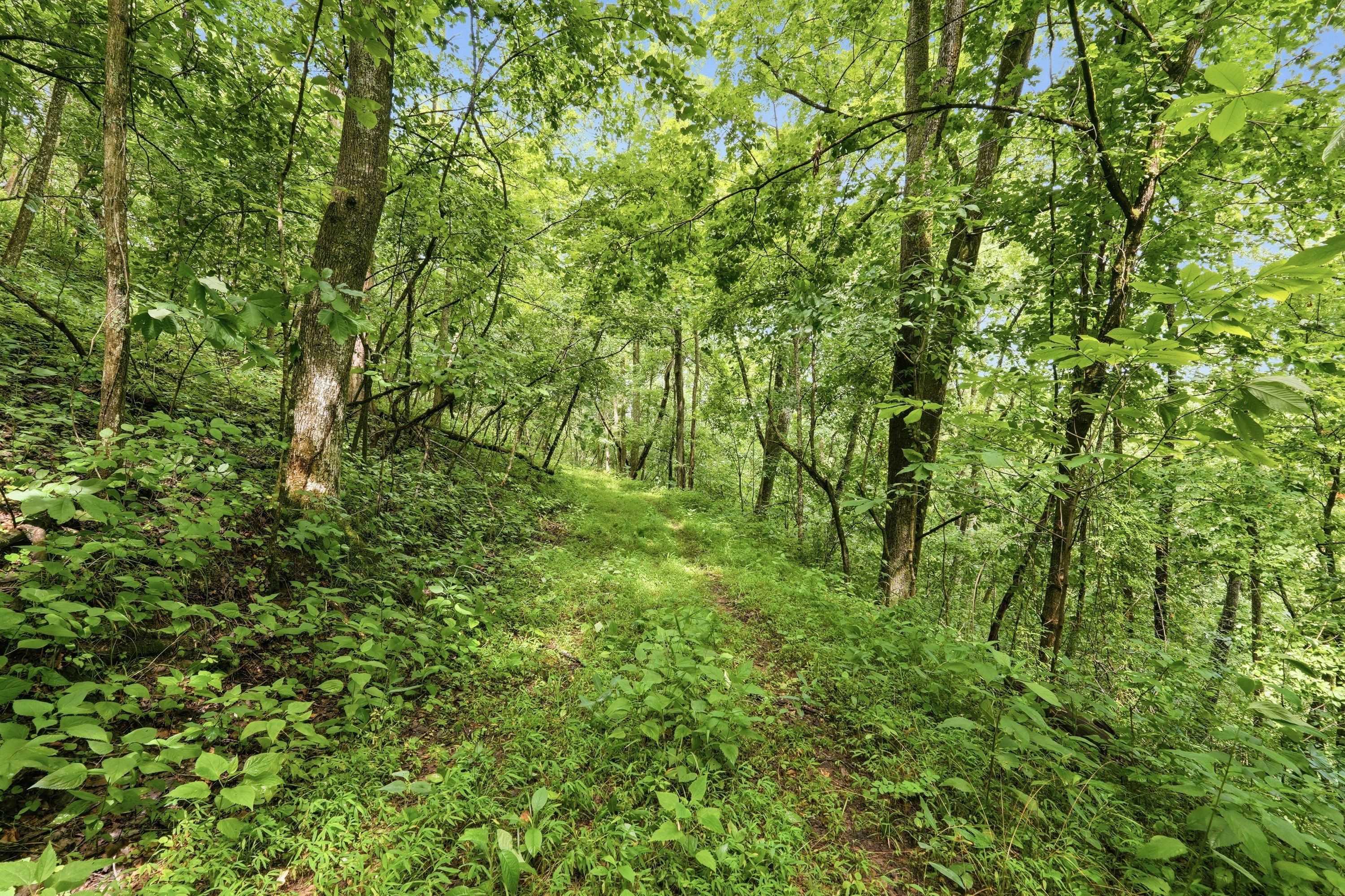  3850 Smith Lane, La Grange, KY 40031 - 物件實景