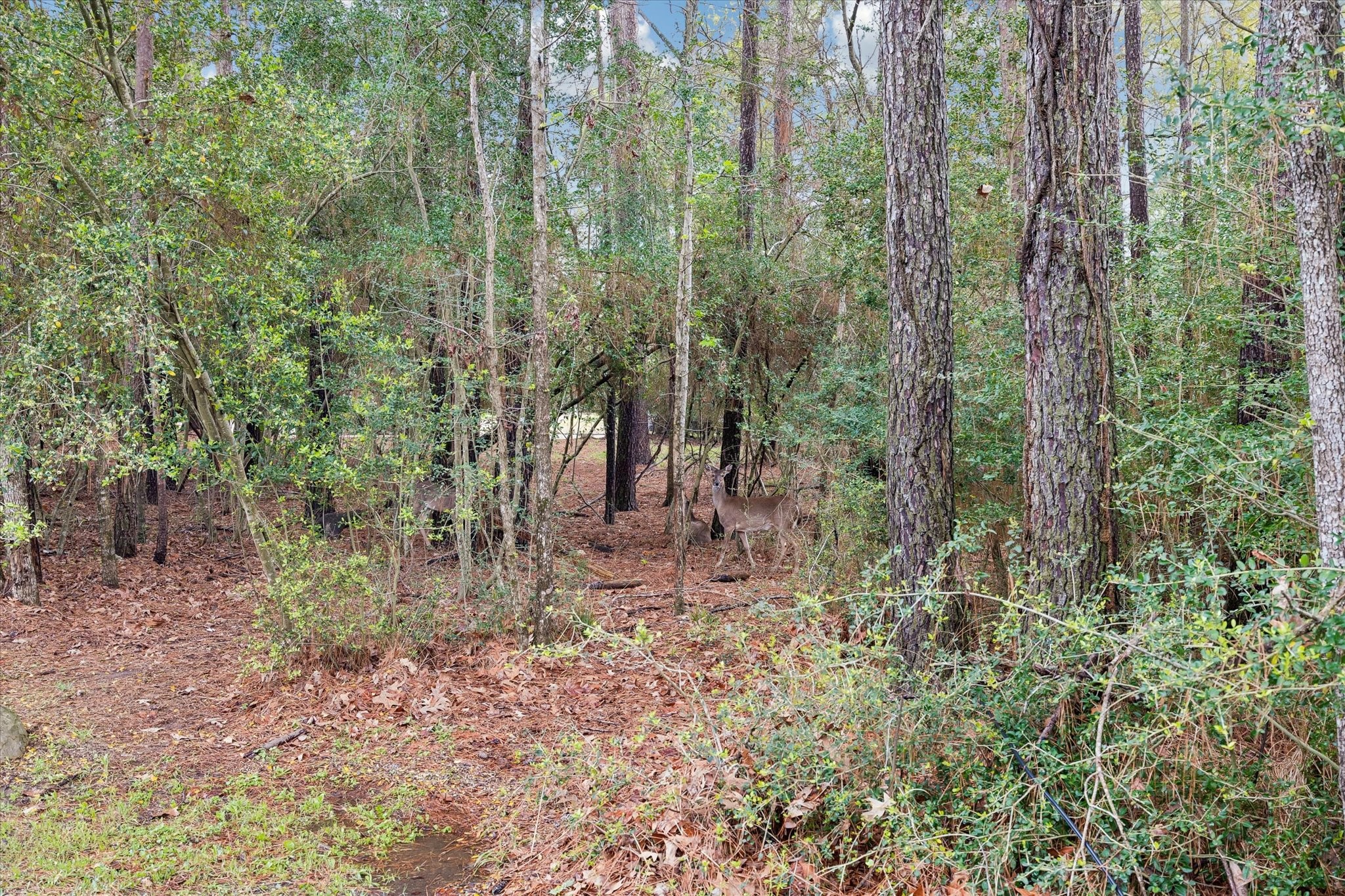  13219 Salem Circle - 物件實景