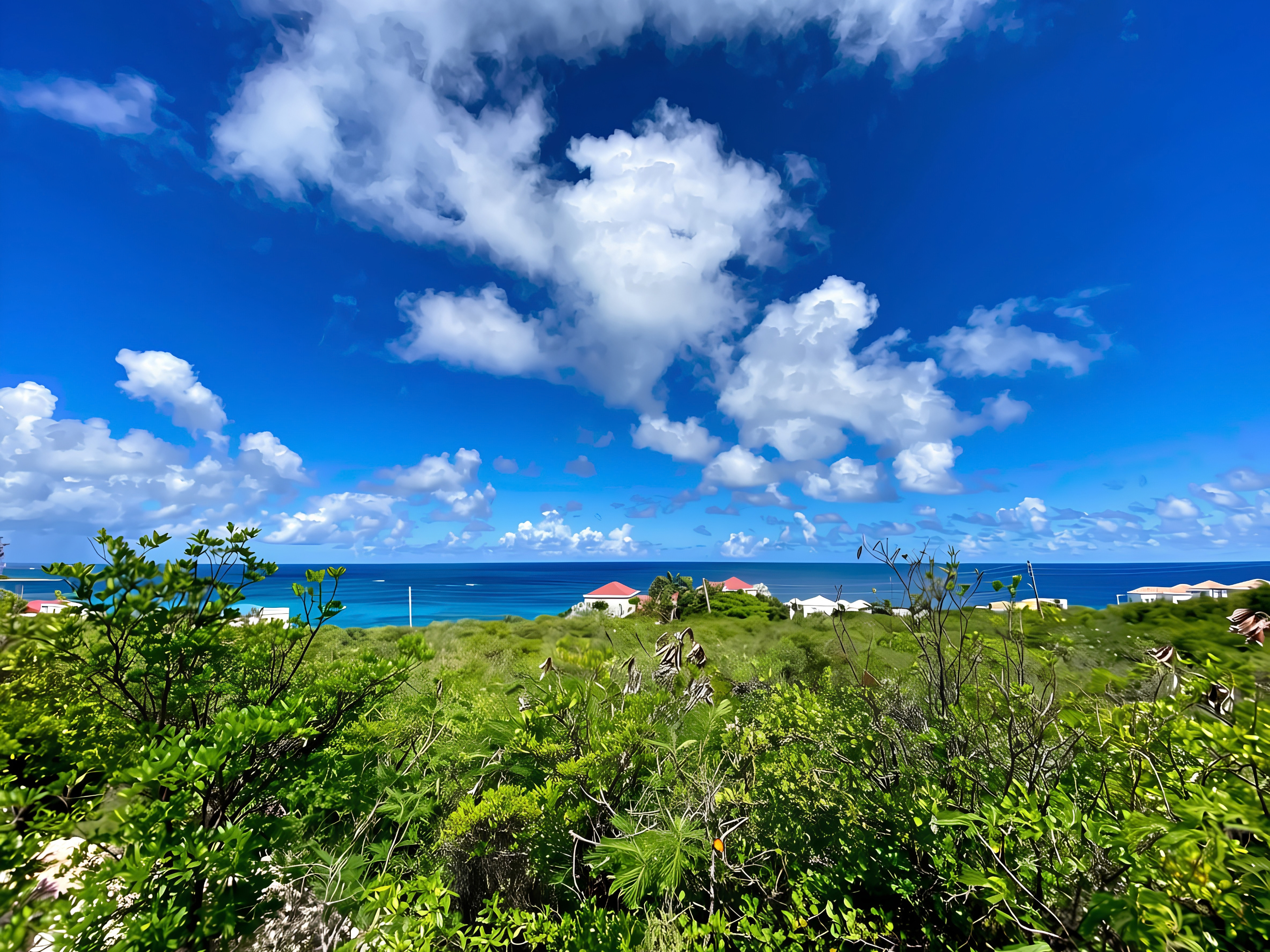  1 Acre Captain