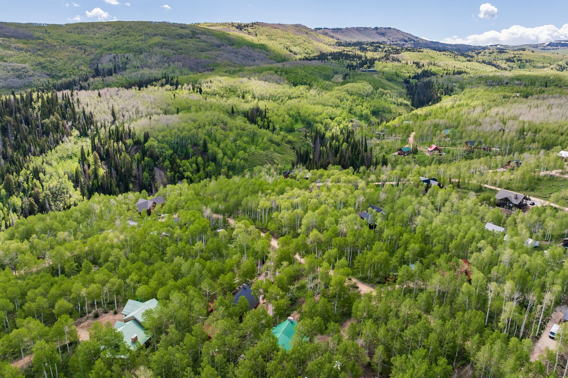  Luxury Mountain Home in the Coveted Timber Lakes Community of Heber - 物件實景