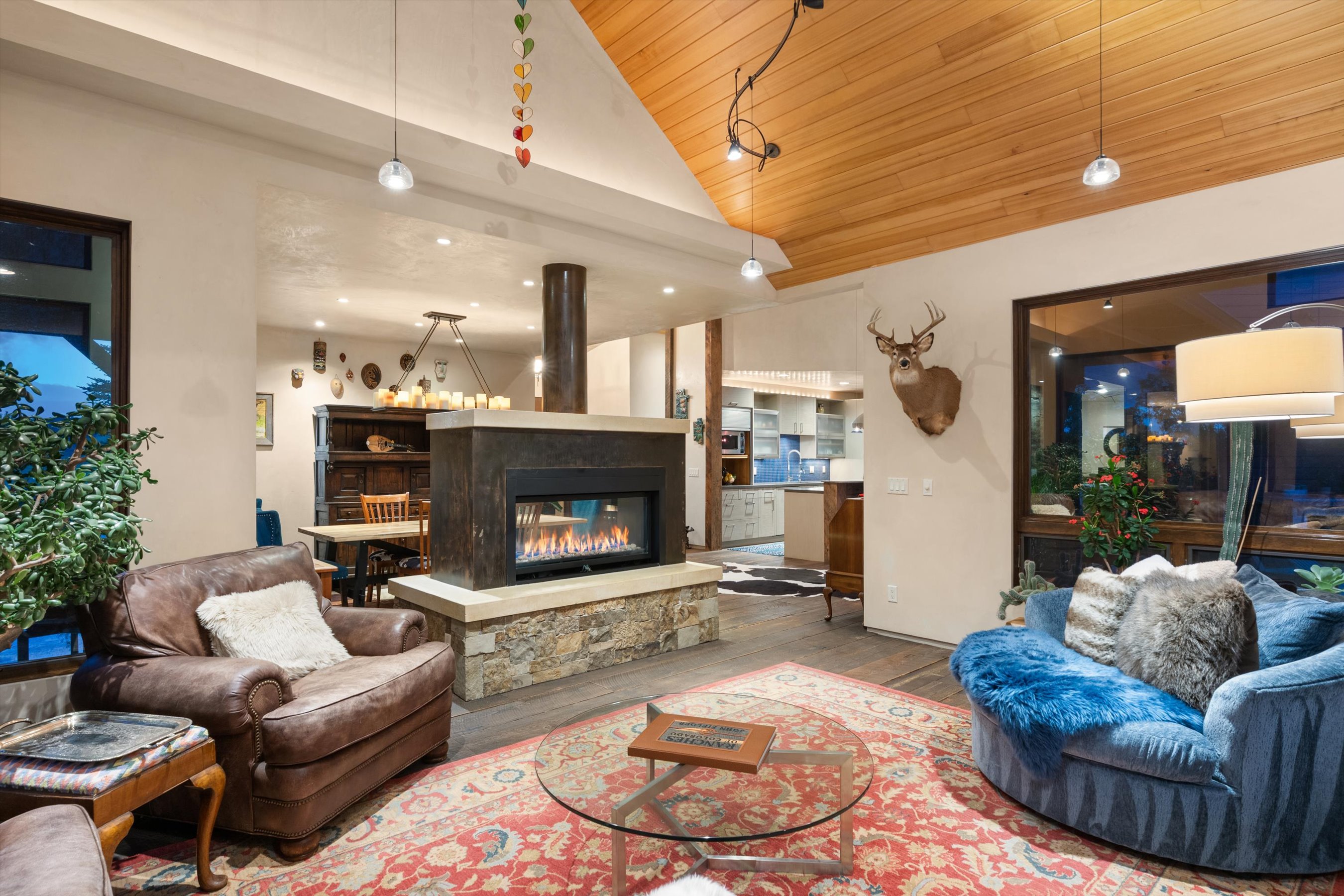  232 Clipper Place, Carbondale, CO 81623 - 物件實景