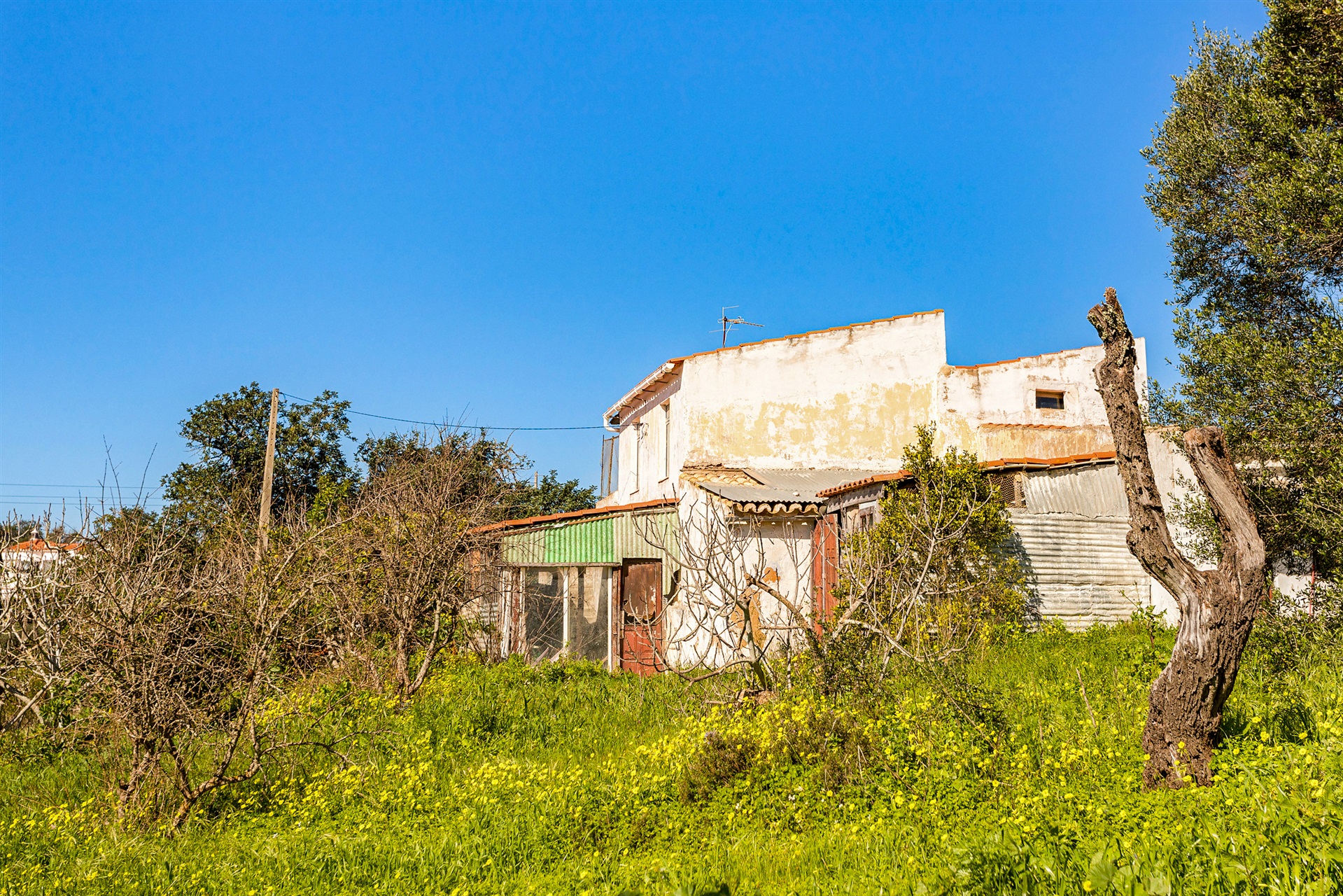  House for Sale - 物件實景
