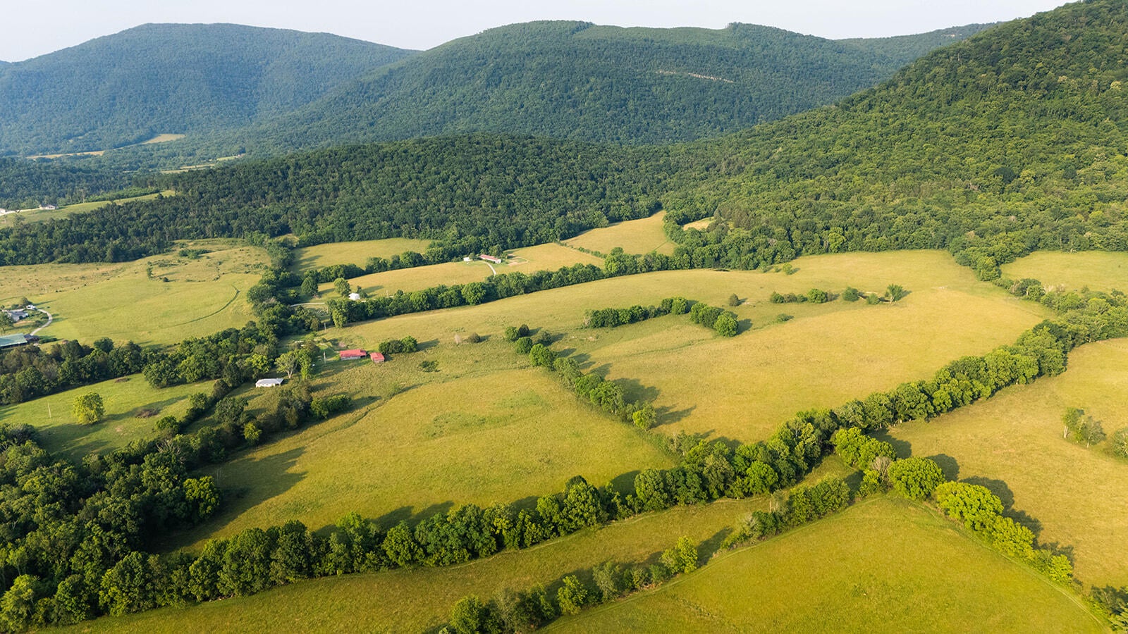 188 Marion Agee Road, Crossville, Tennessee, 37367, United States, ,Land,For Sale,188 Marion Agee Road,1659693