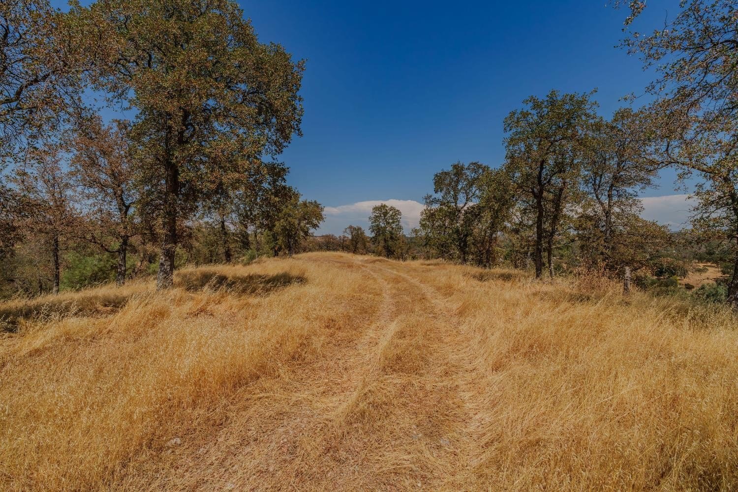 Valley Springs, California, 95252, United States, 3 Bedrooms Bedrooms, ,2 BathroomsBathrooms,Residential,For Sale,1979453