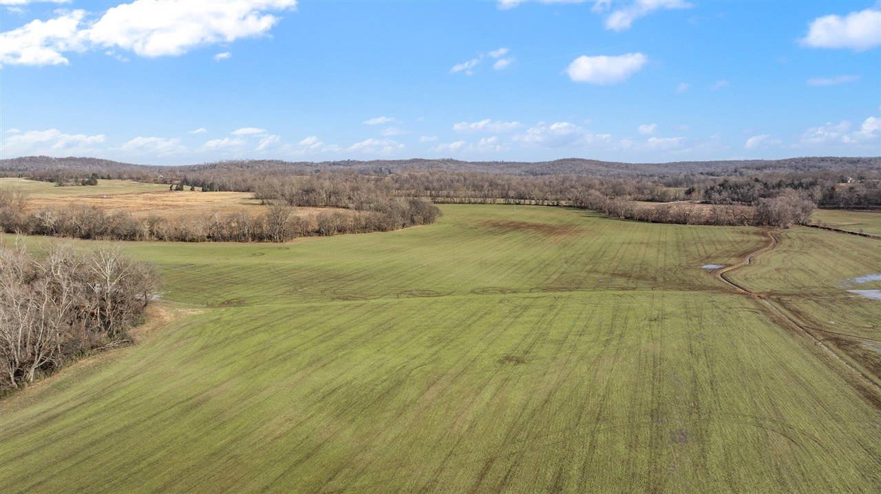 Lewisburg, Kentucky, 42256, United States, ,Land,For Sale,1688645
