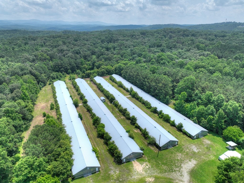 Talking Rock, Georgia, 30175, United States, 5 Bedrooms Bedrooms, ,4 BathroomsBathrooms,Residential,For Sale,1848832