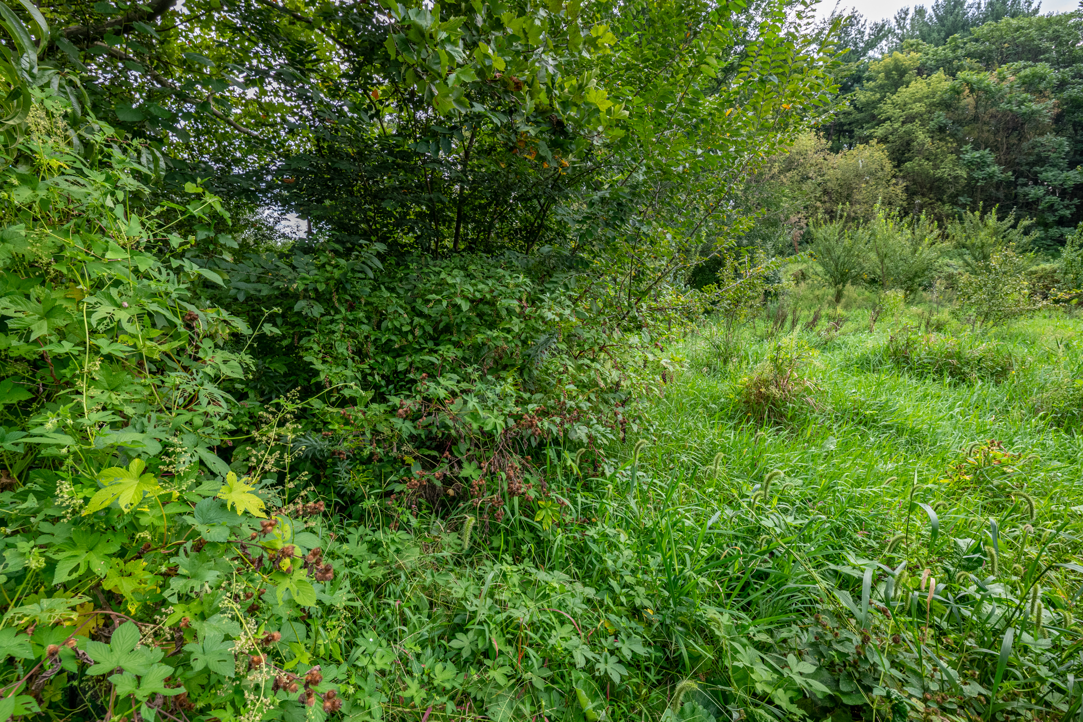  0 River Rd, Pequea, PA 17565 - 物件實景