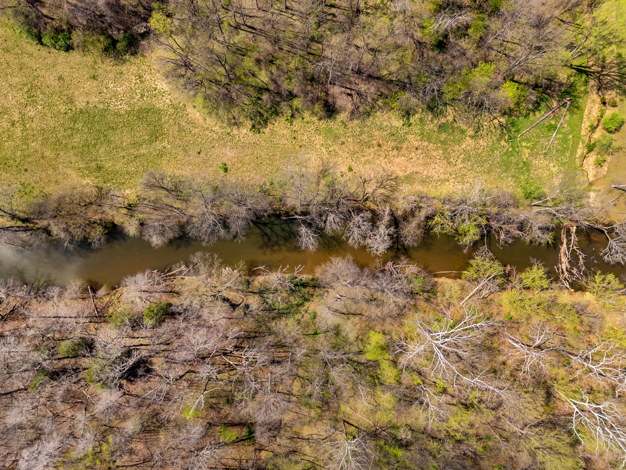  14039 Amys Meadow Court, Leesburg, VA, 20176 - 物件實景