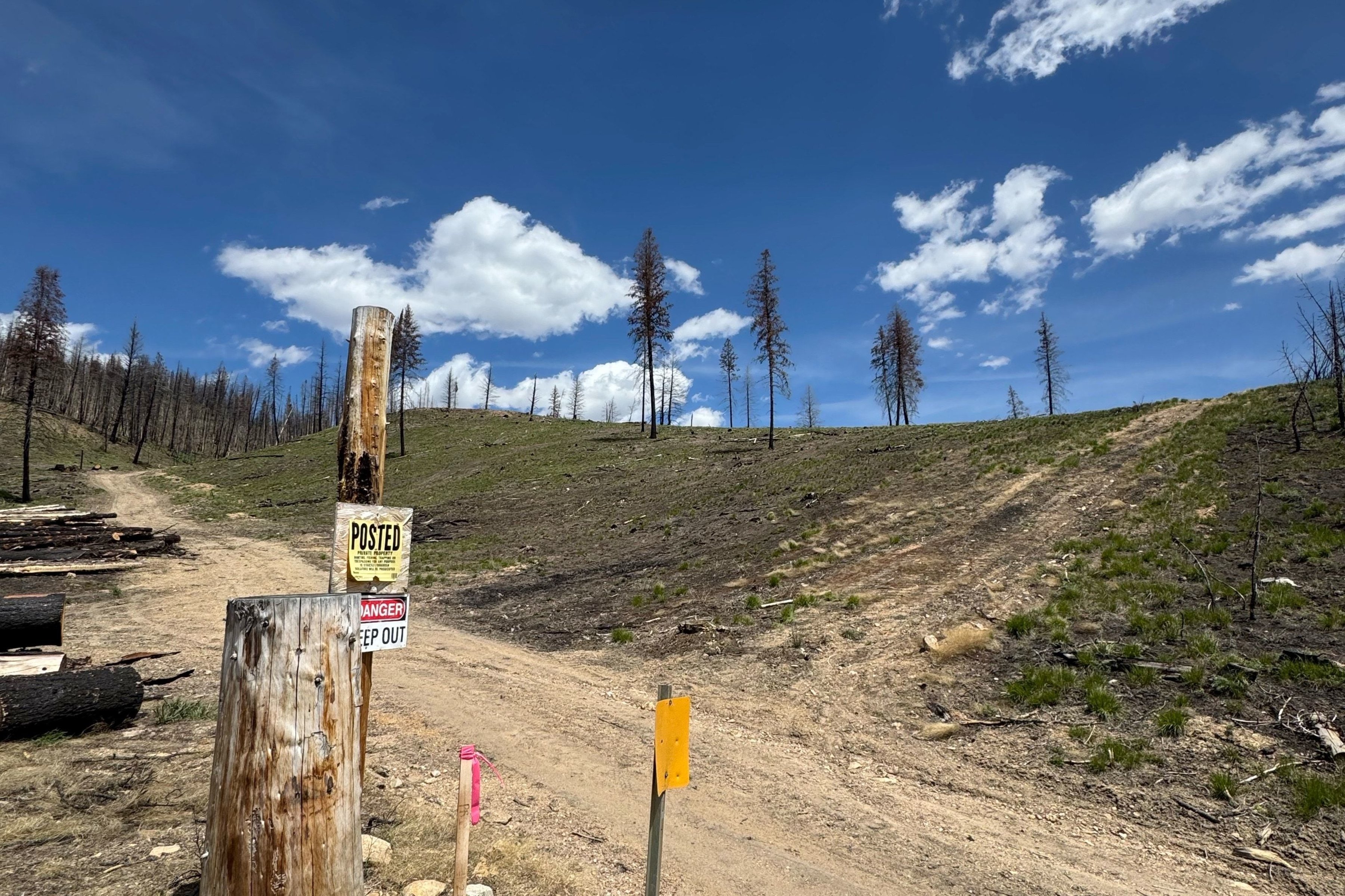  Rare Sawtooth Basin Homesite Near Stanley - 物件實景
