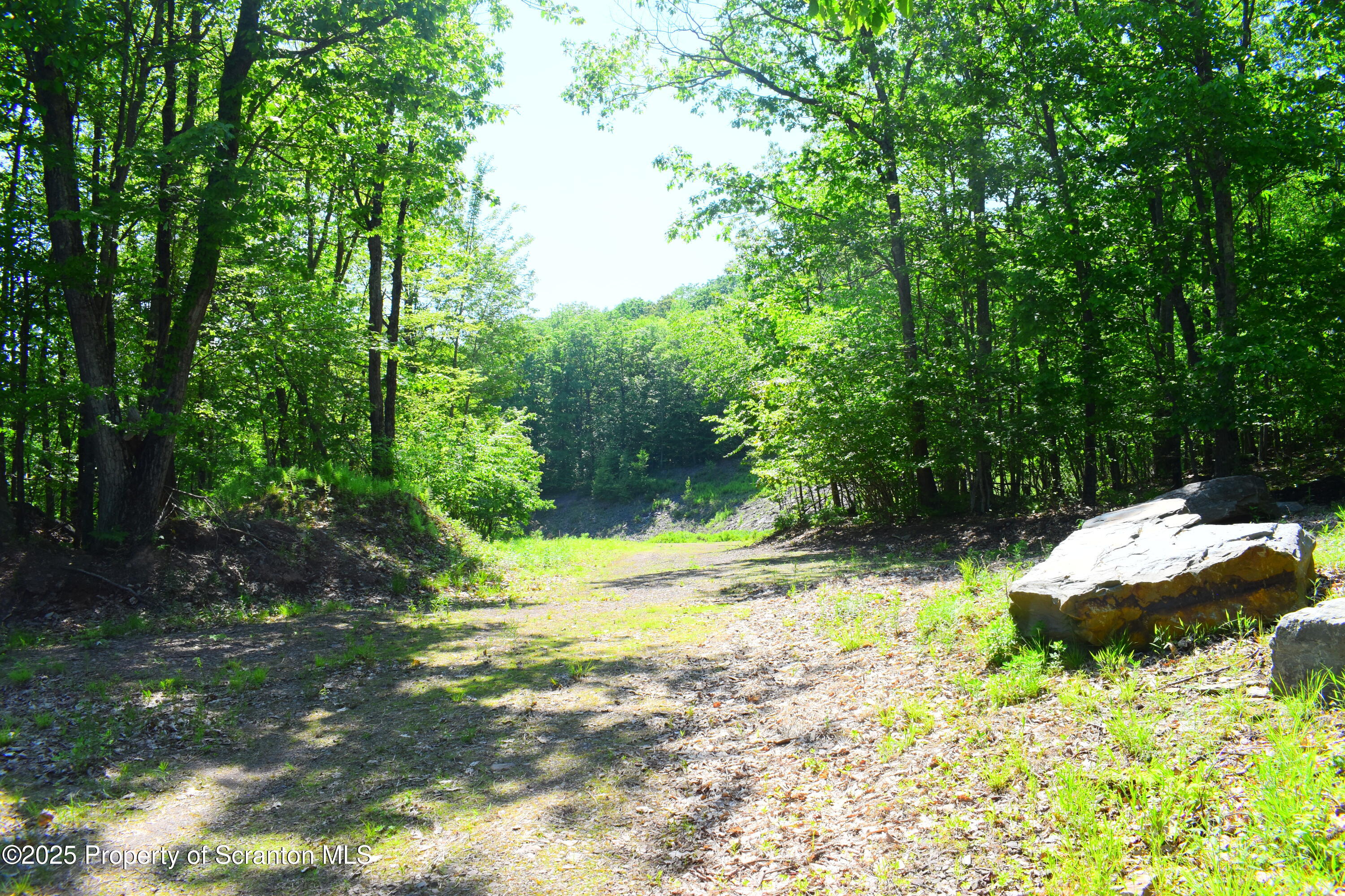 State Route 92, Susquehanna, Pennsylvania, 18847, United States, ,Land,For Sale,State Route 92,1665959