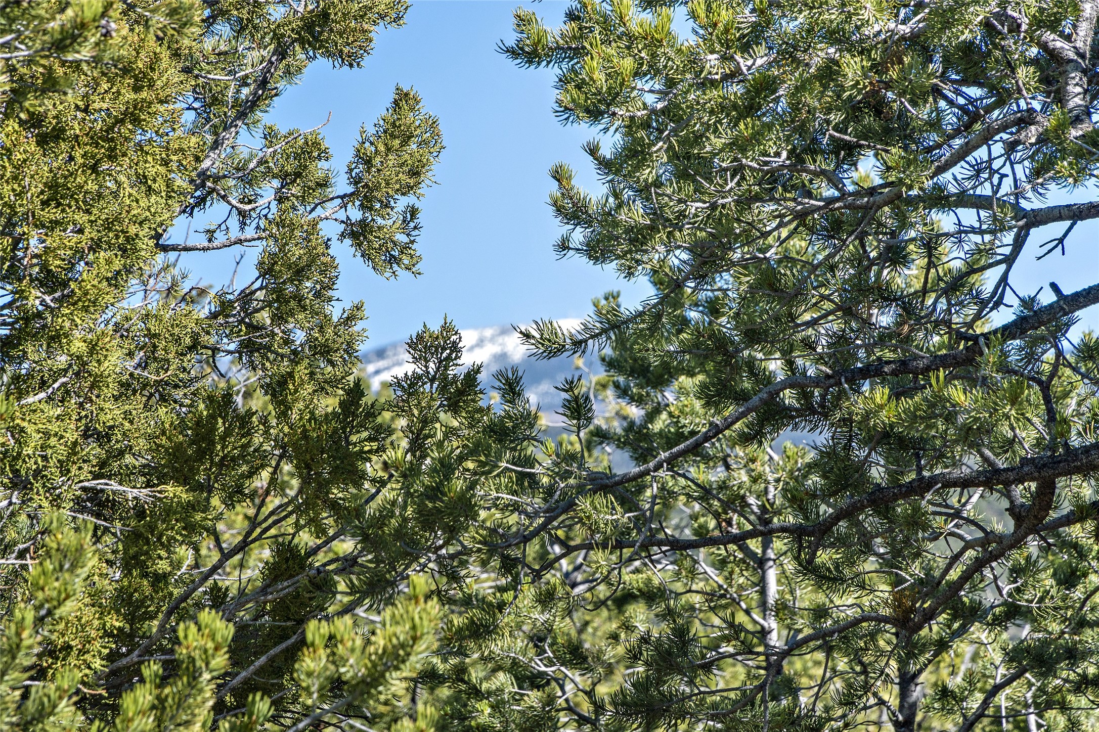  1164 S Summit Drive, Lot 15 - 物件實景