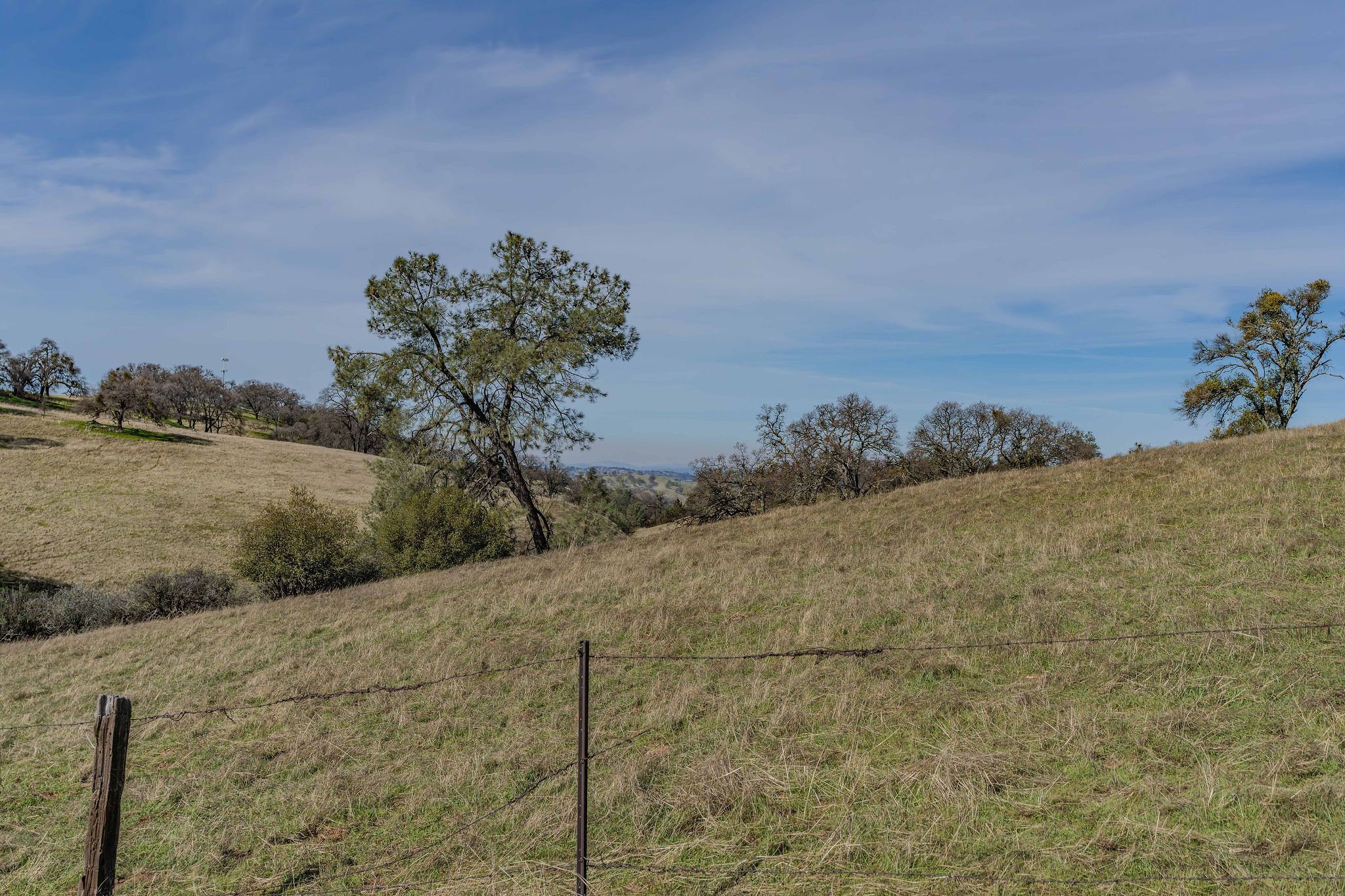  0 Old Hwy 49, Sutter Creek, CA 95685 - 物件實景