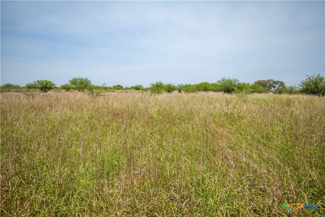 Cuero, Texas, 77954, United States, ,Residential,For Sale,1950887