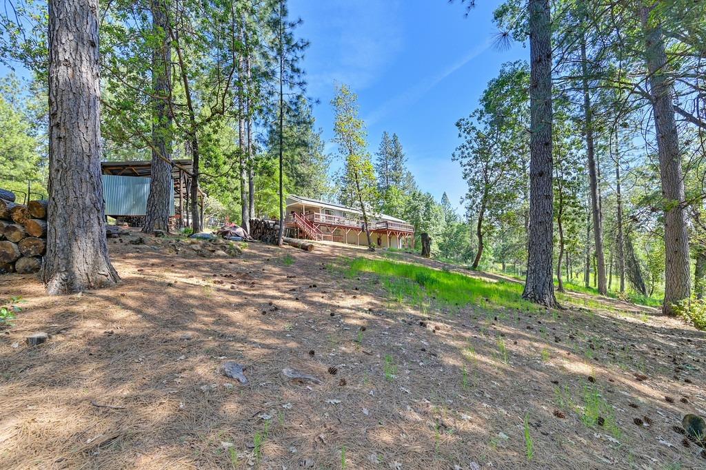 Foresthill, California, 95631, United States, 3 Bedrooms Bedrooms, ,2 BathroomsBathrooms,Residential,For Sale,1819375