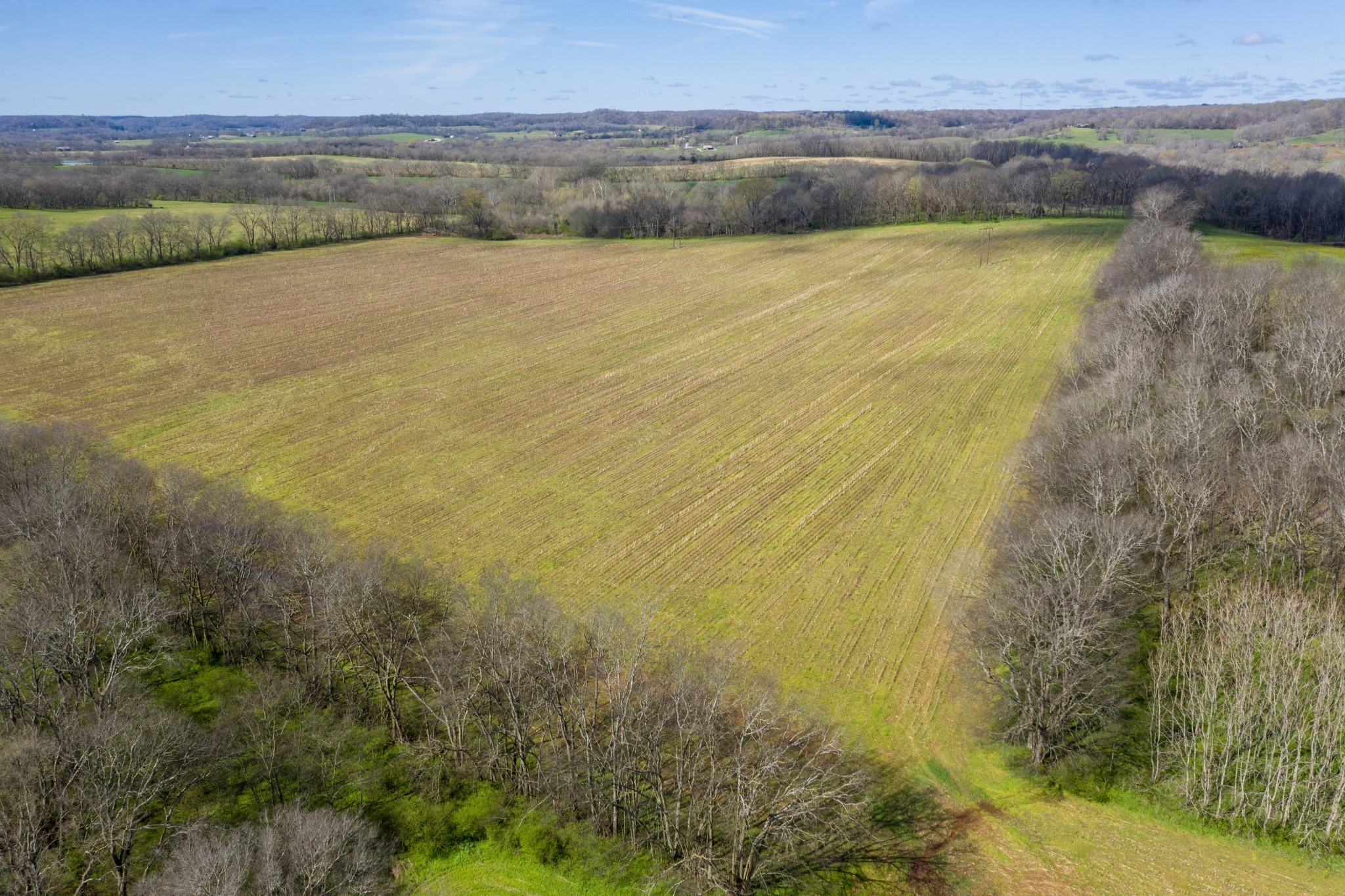  0 South Cross Bridges Road, Mount Pleasant, TN, 38474 - 物件實景