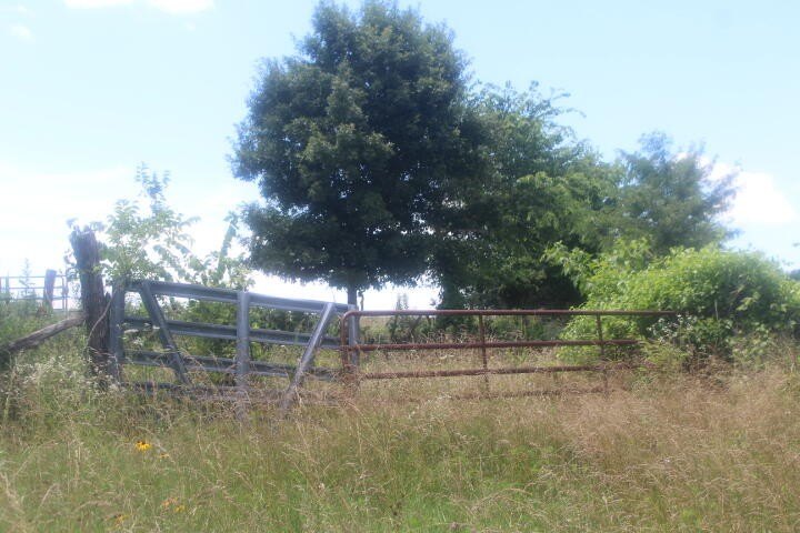 Polk, Missouri, 65727, United States, ,Land,For Sale,1980569