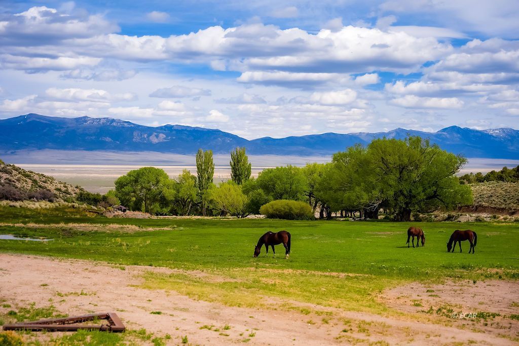 Ely, Nevada, 89301, United States, 2 Bedrooms Bedrooms, ,1 BathroomBathrooms,Residential,For Sale,1827085