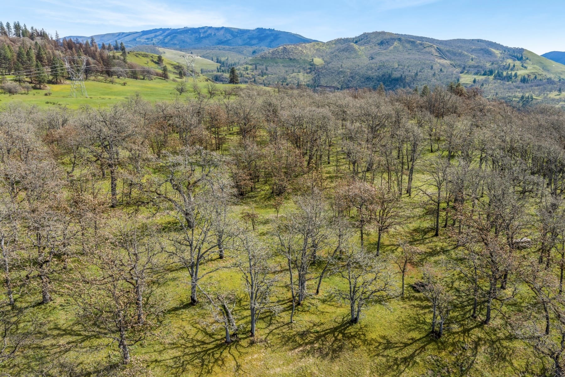  10 CANYON RD Lyle, WA 98635 - 物件實景